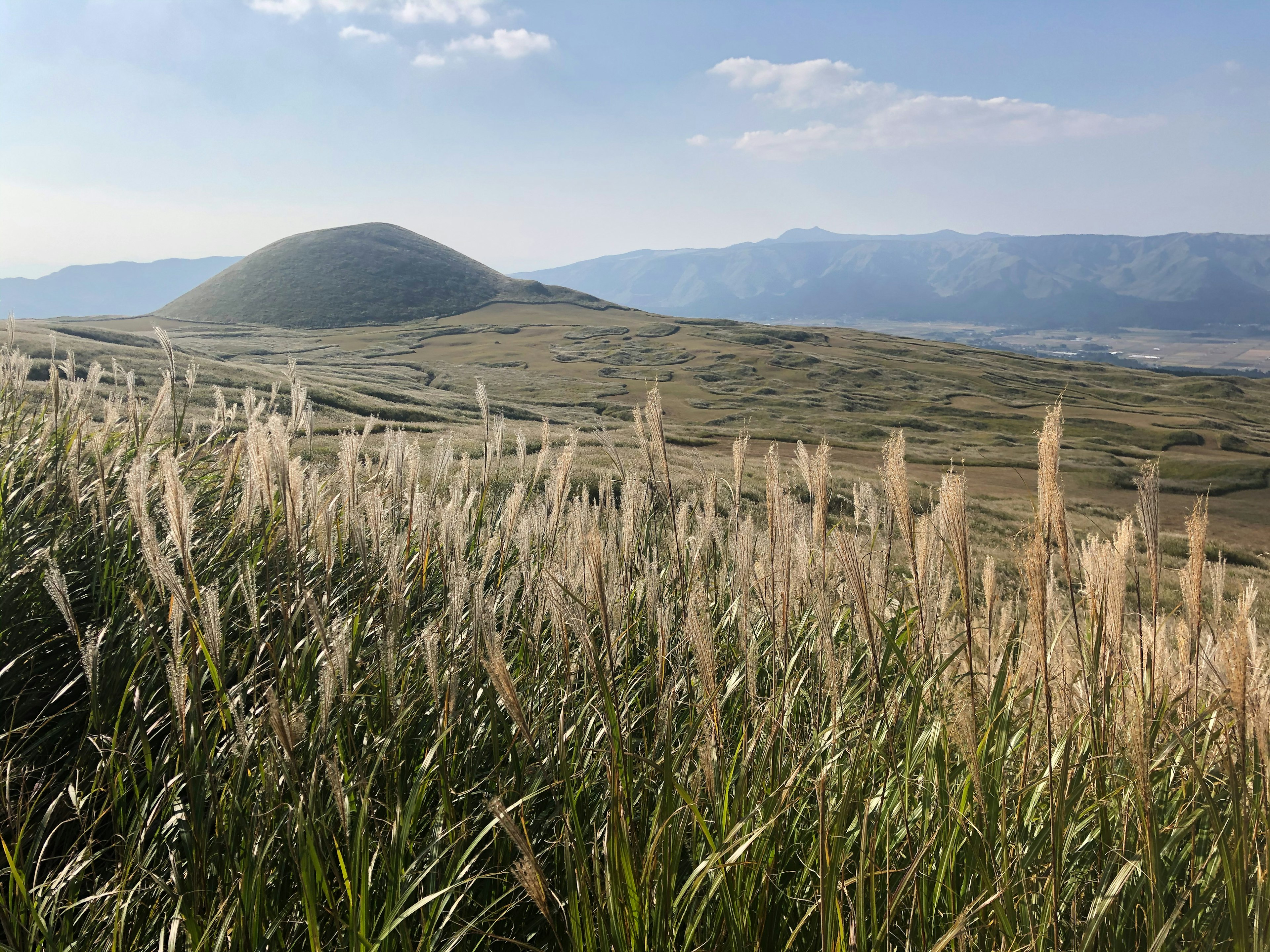 摇曳的草丛与背景中的小山和蓝天的风景