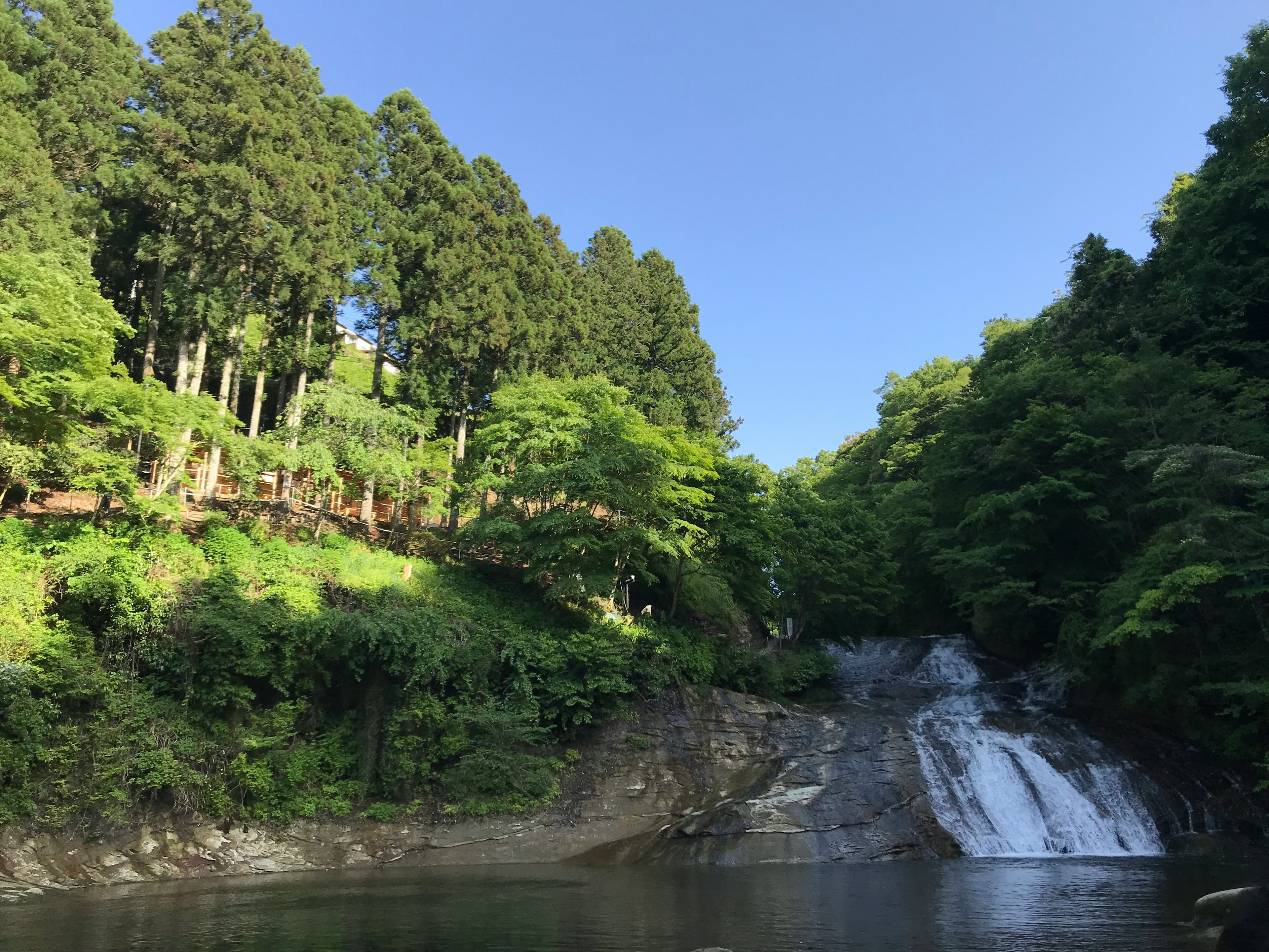 Cascada rodeada de un bosque verde bajo un cielo azul despejado