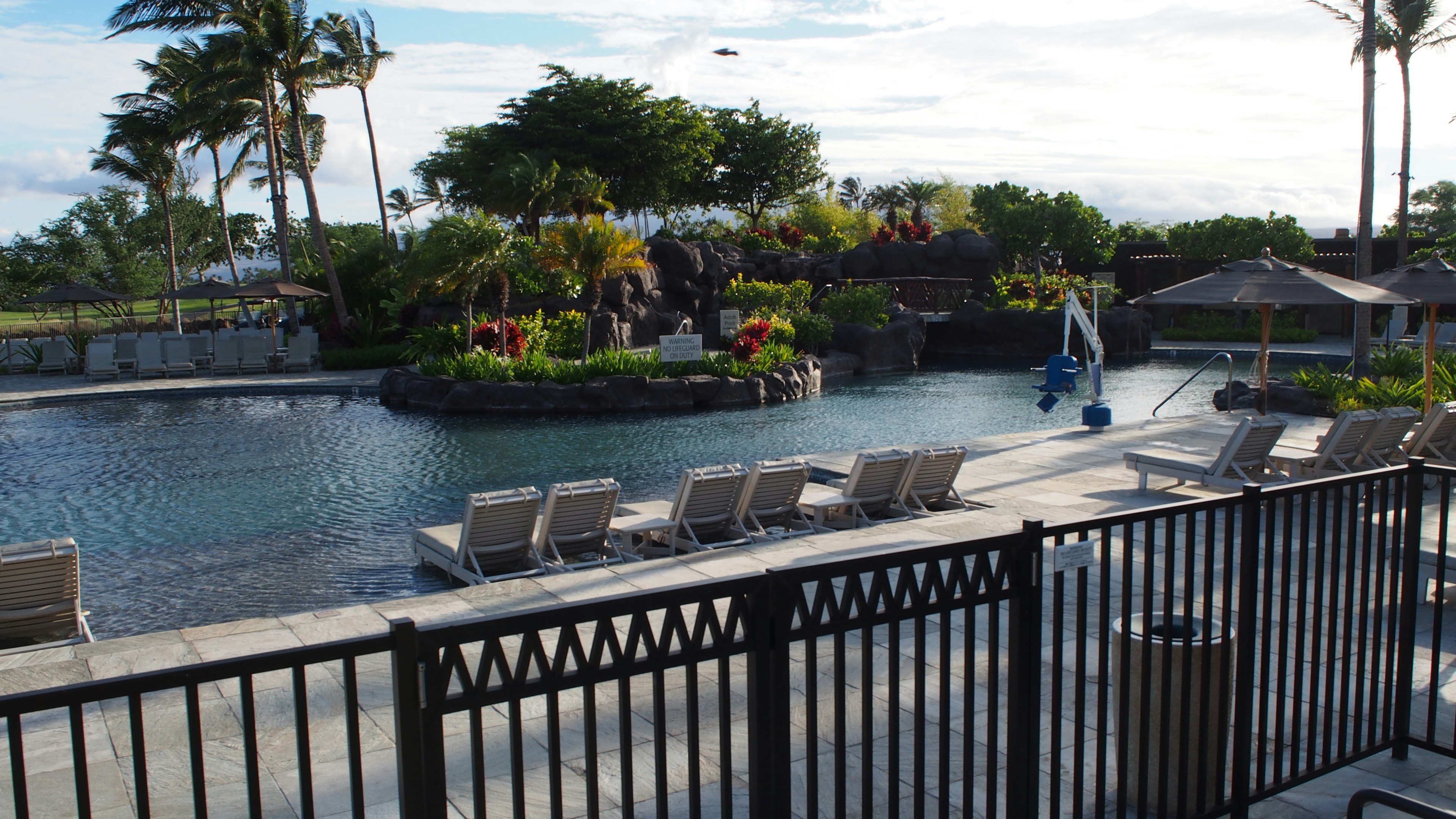 Belle zone de piscine avec des plantes tropicales et des chaises longues