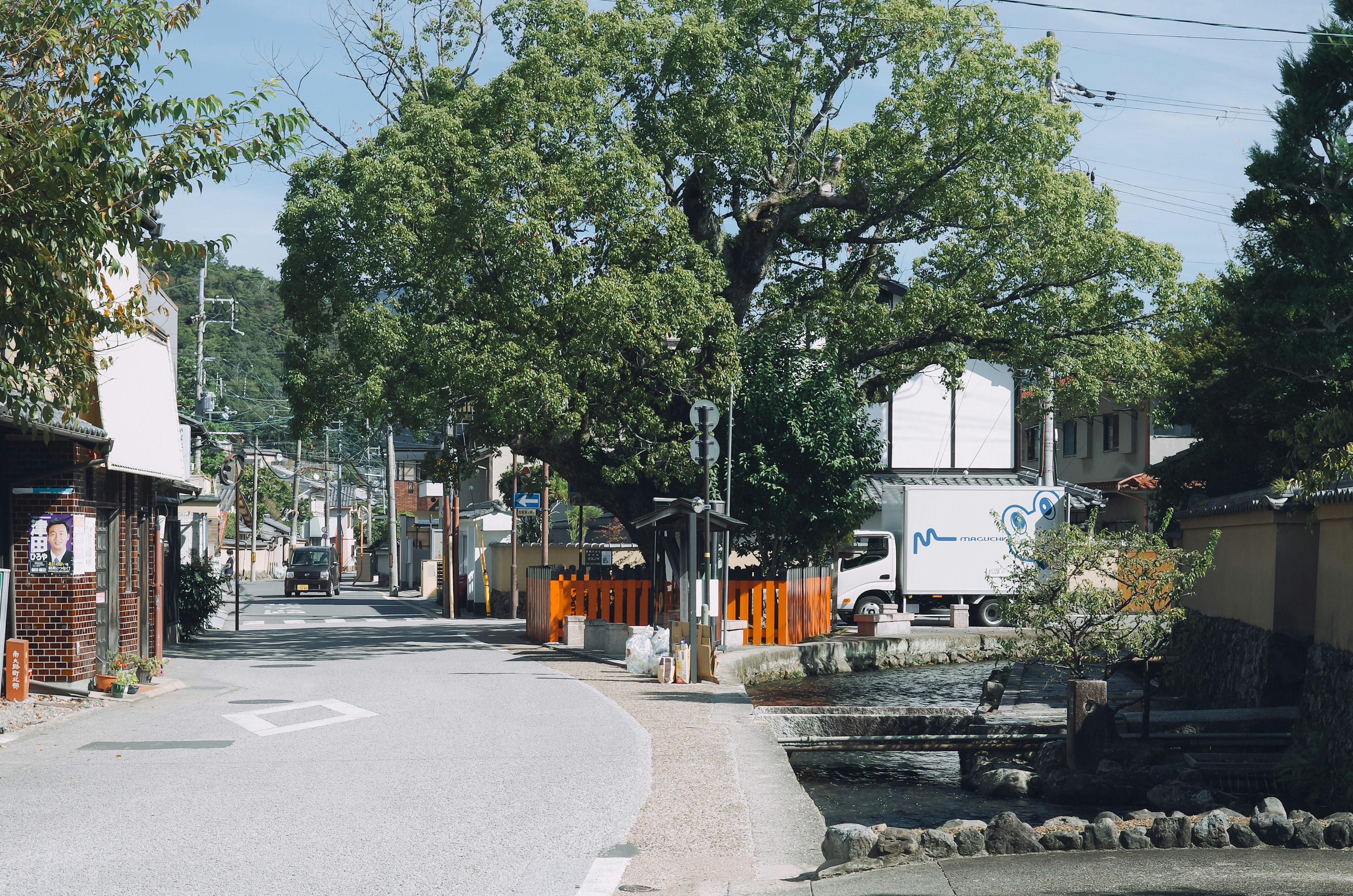 静かな街並みの風景 大きな木と白い家が特徴