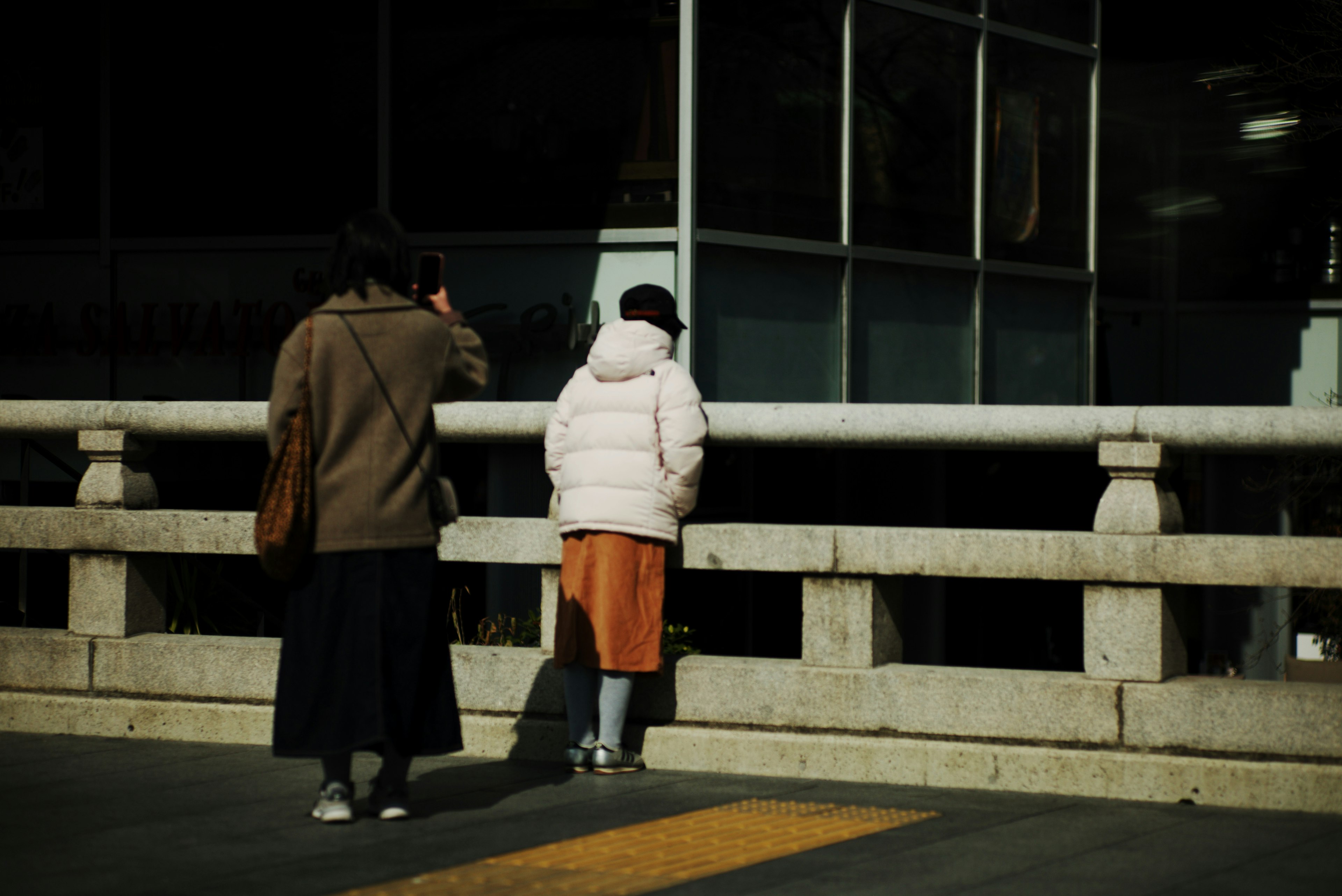 二人の女性が橋の手すりにもたれかかっている風景