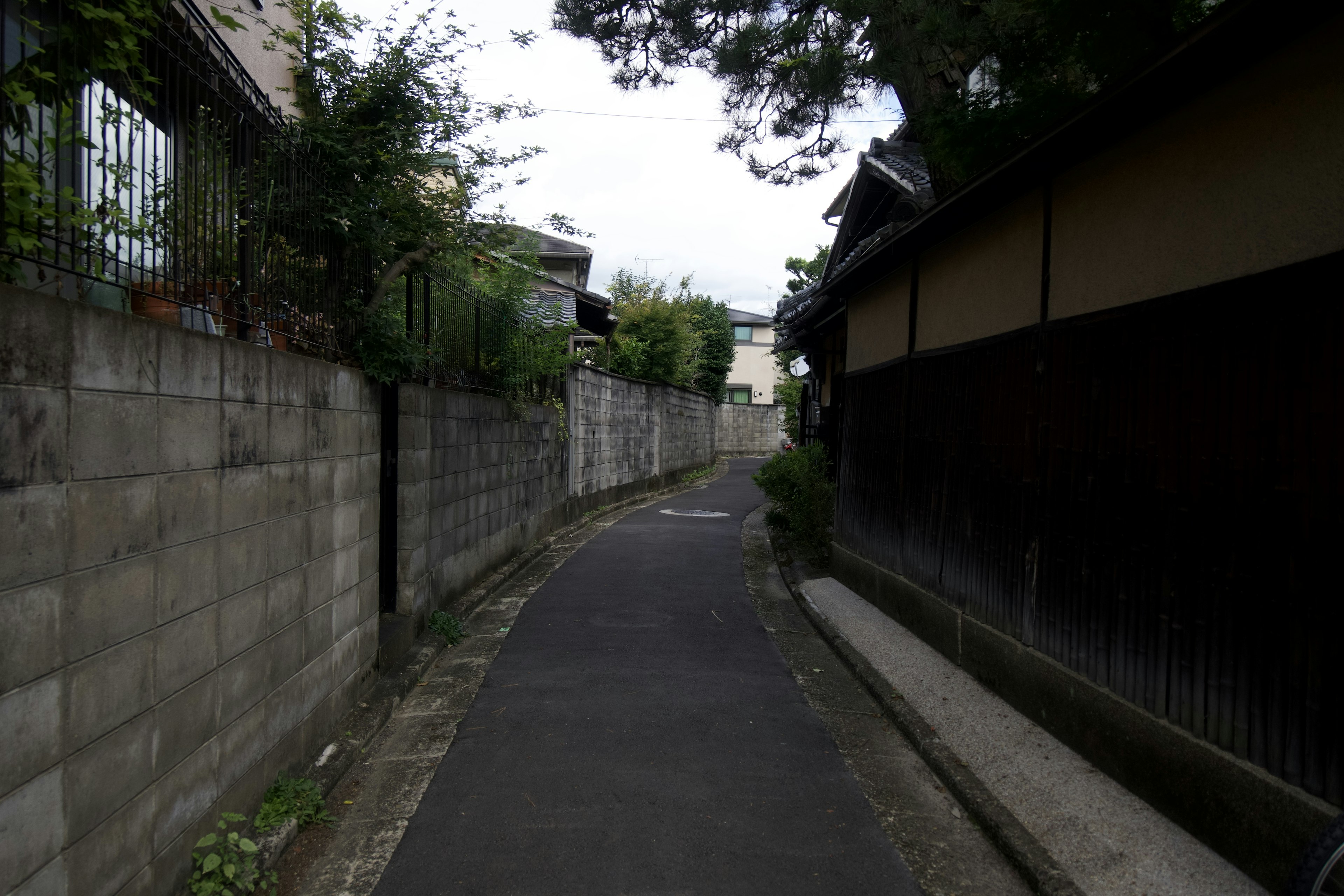 Narrow pathway surrounded by houses and greenery