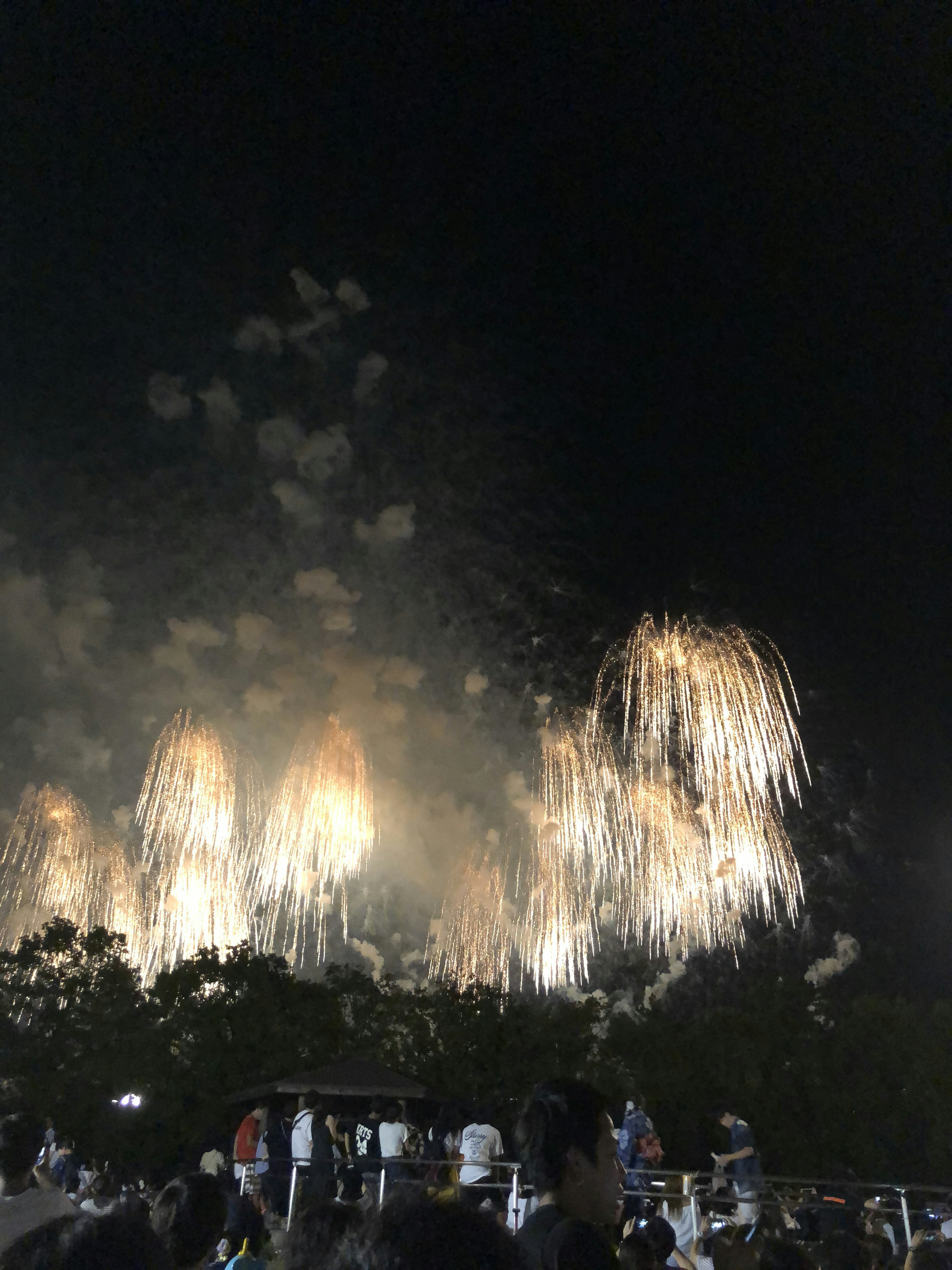 Espectacular exhibición de fuegos artificiales iluminando el cielo nocturno con una audiencia reunida