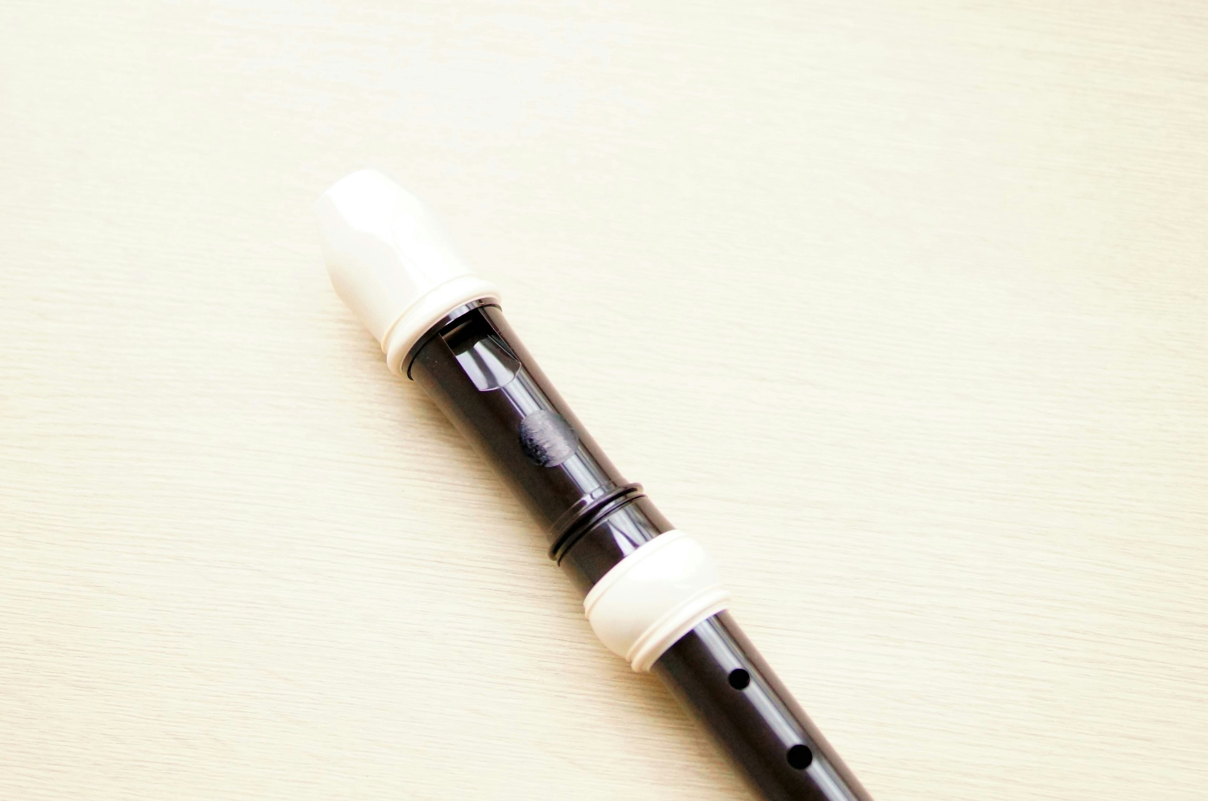 Black recorder with distinctive white components