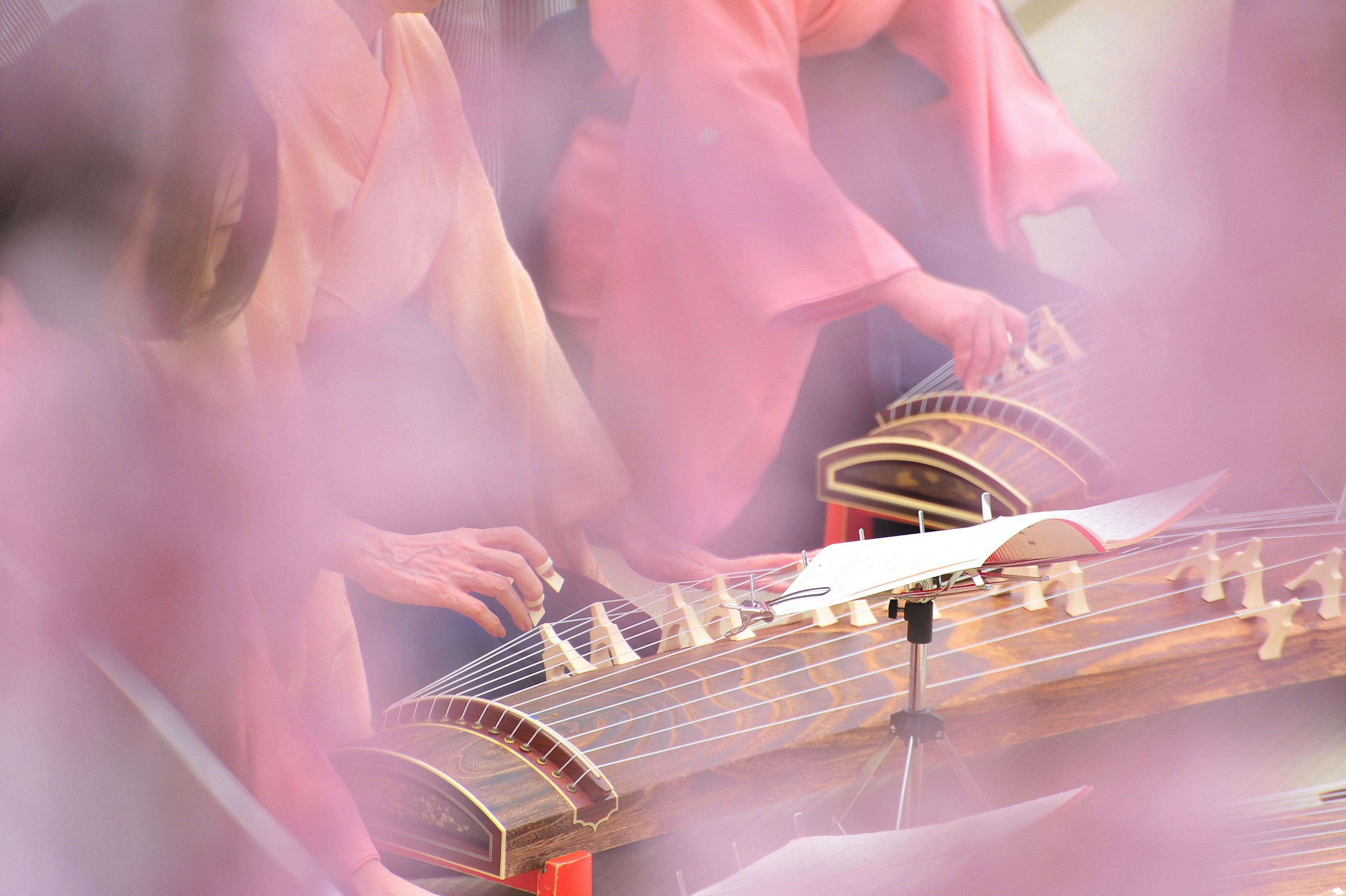 Women playing a traditional instrument surrounded by pink flowers