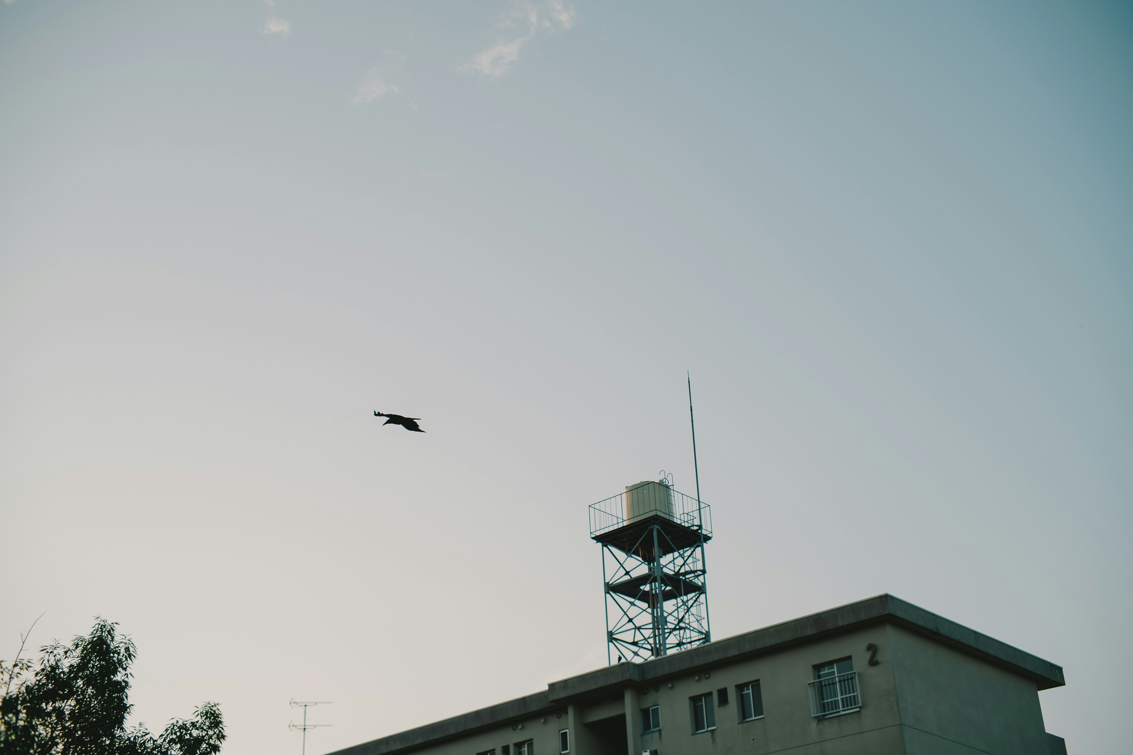 青空の下に建物と通信塔が見える空中を飛ぶ物体