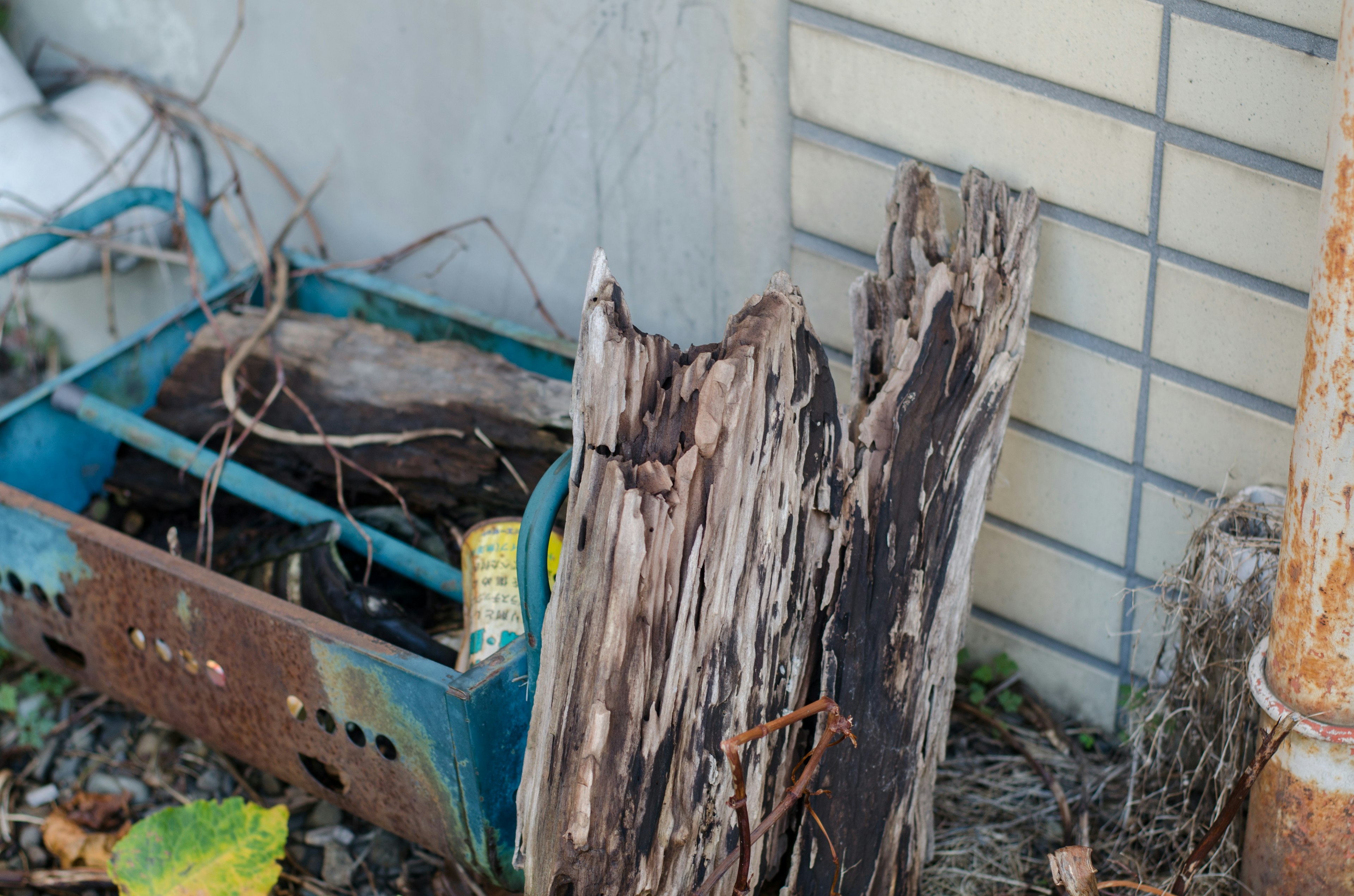 Eine Szene mit verwittertem Holz und einem blauen Kunststoffbehälter unter Trümmern