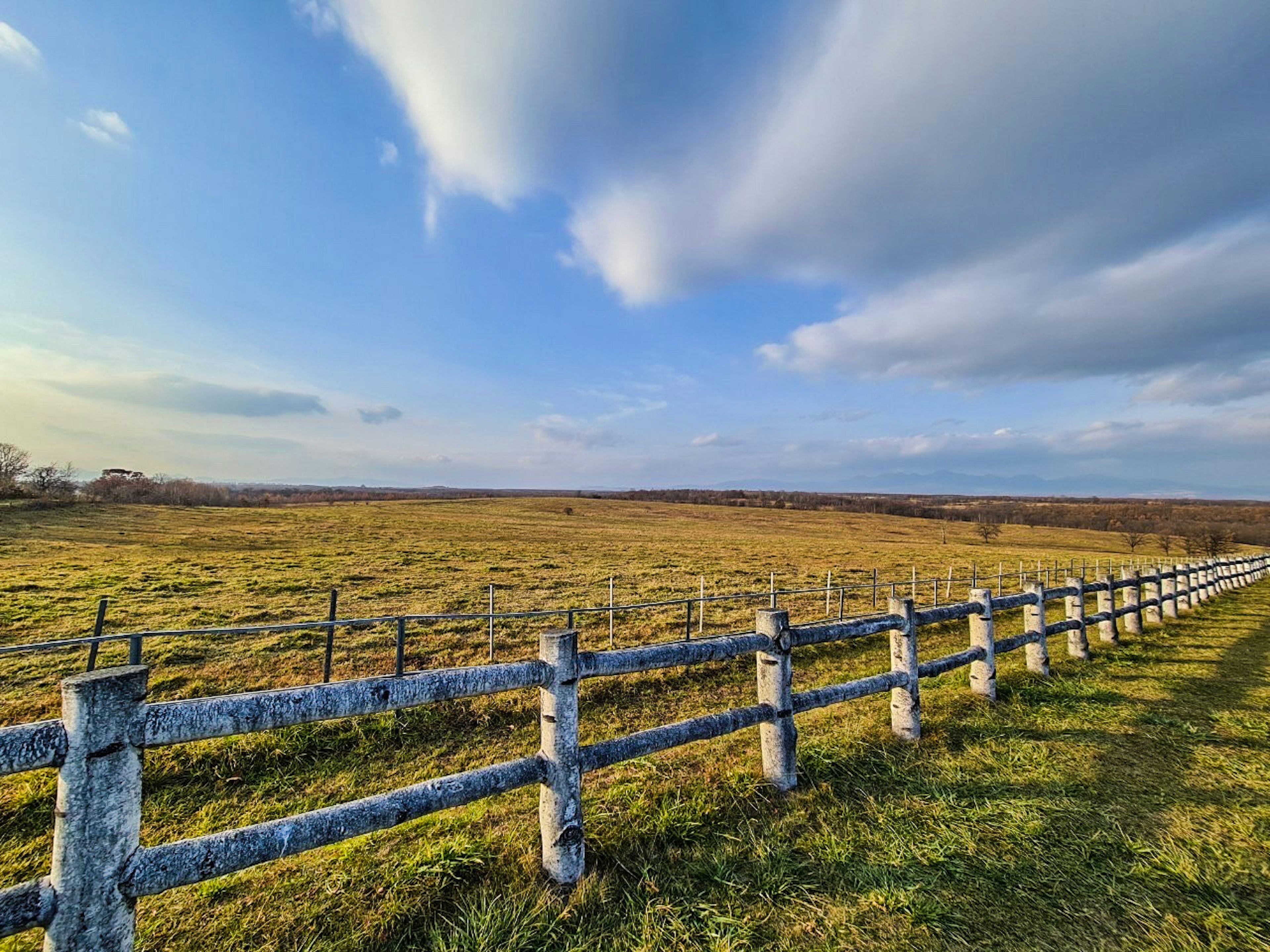 Green pasture under a blue sky with white clouds and a wooden fence