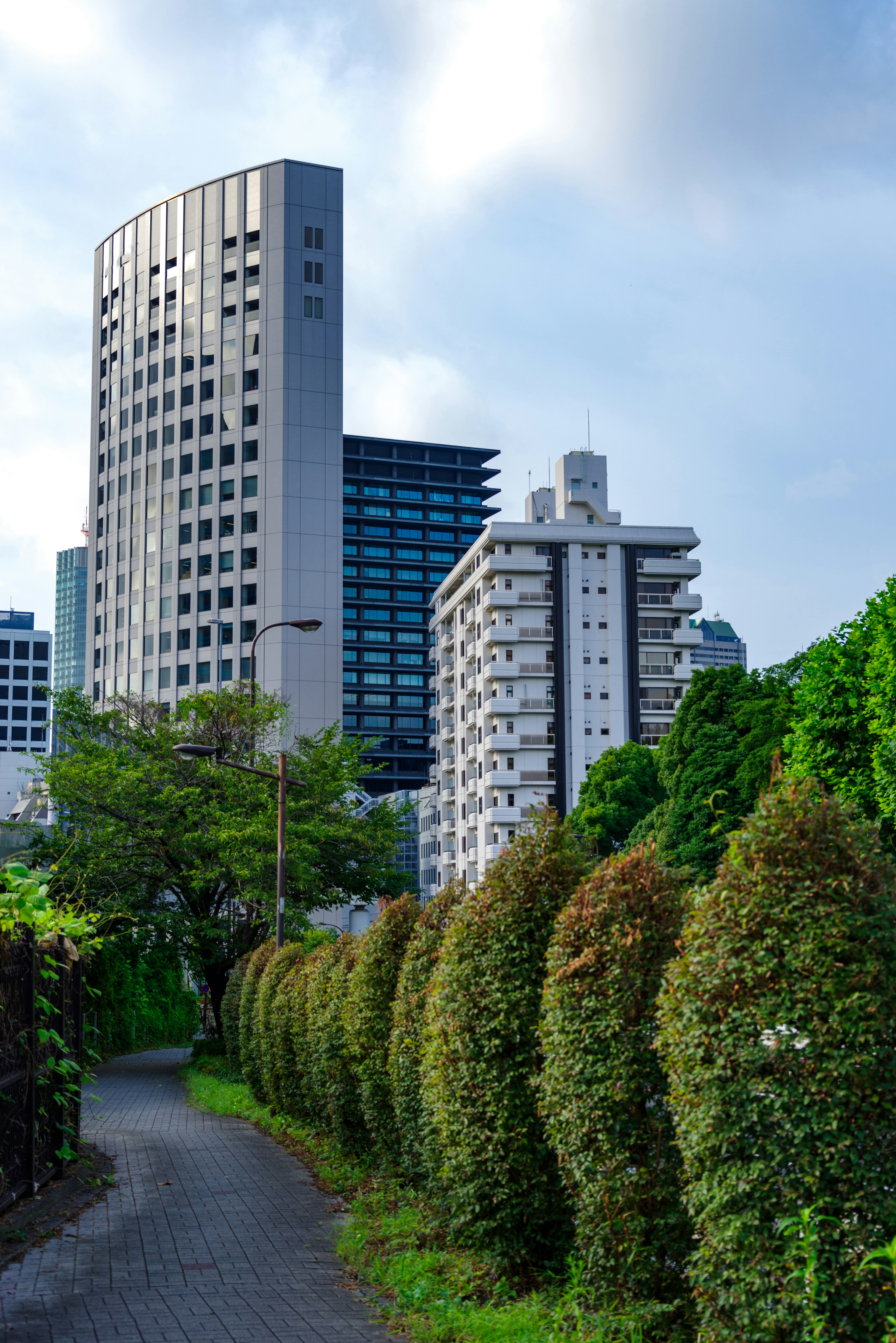 Pathway lined with greenery and modern skyscrapers in the background