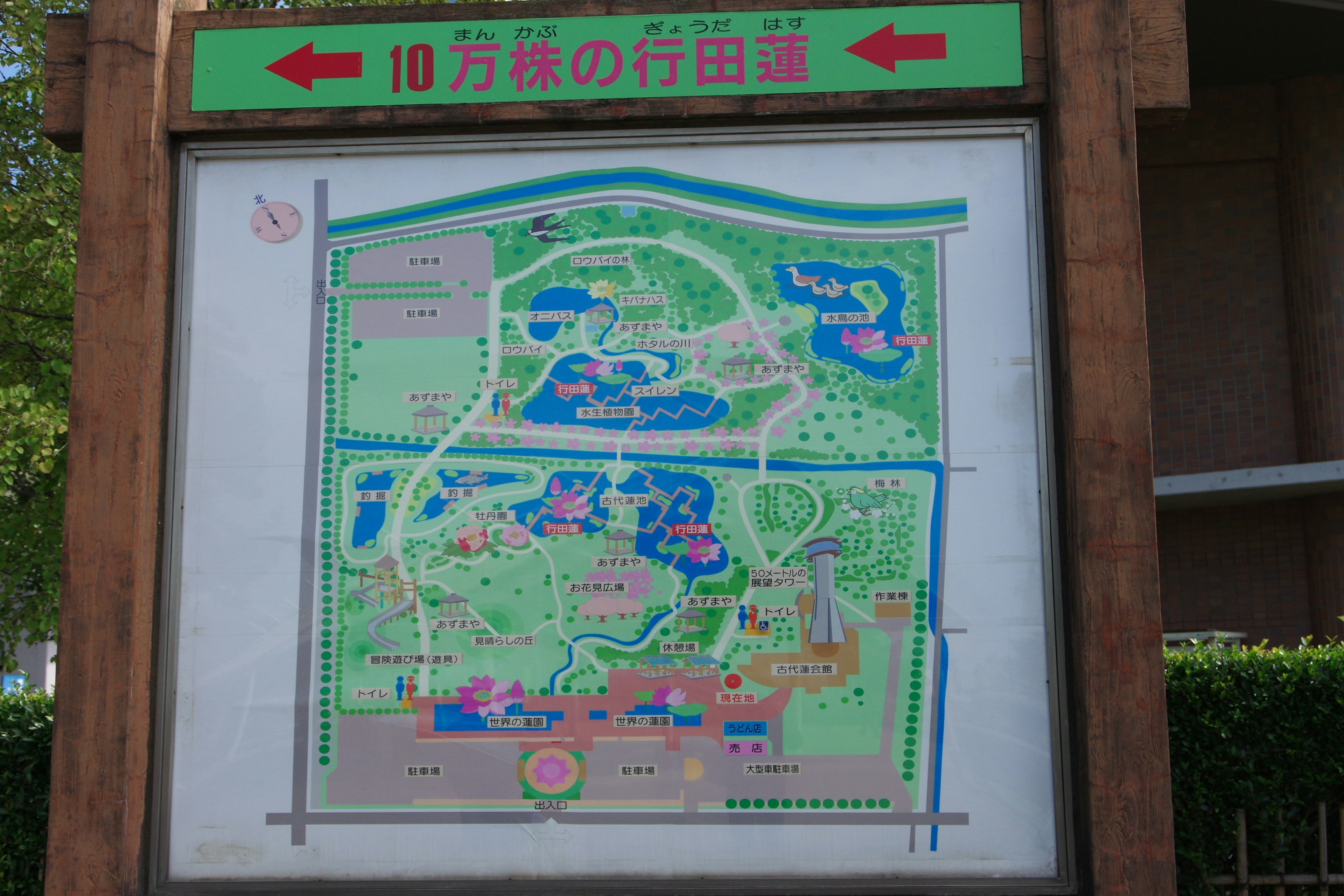 Map of a park displayed on a sign with green borders