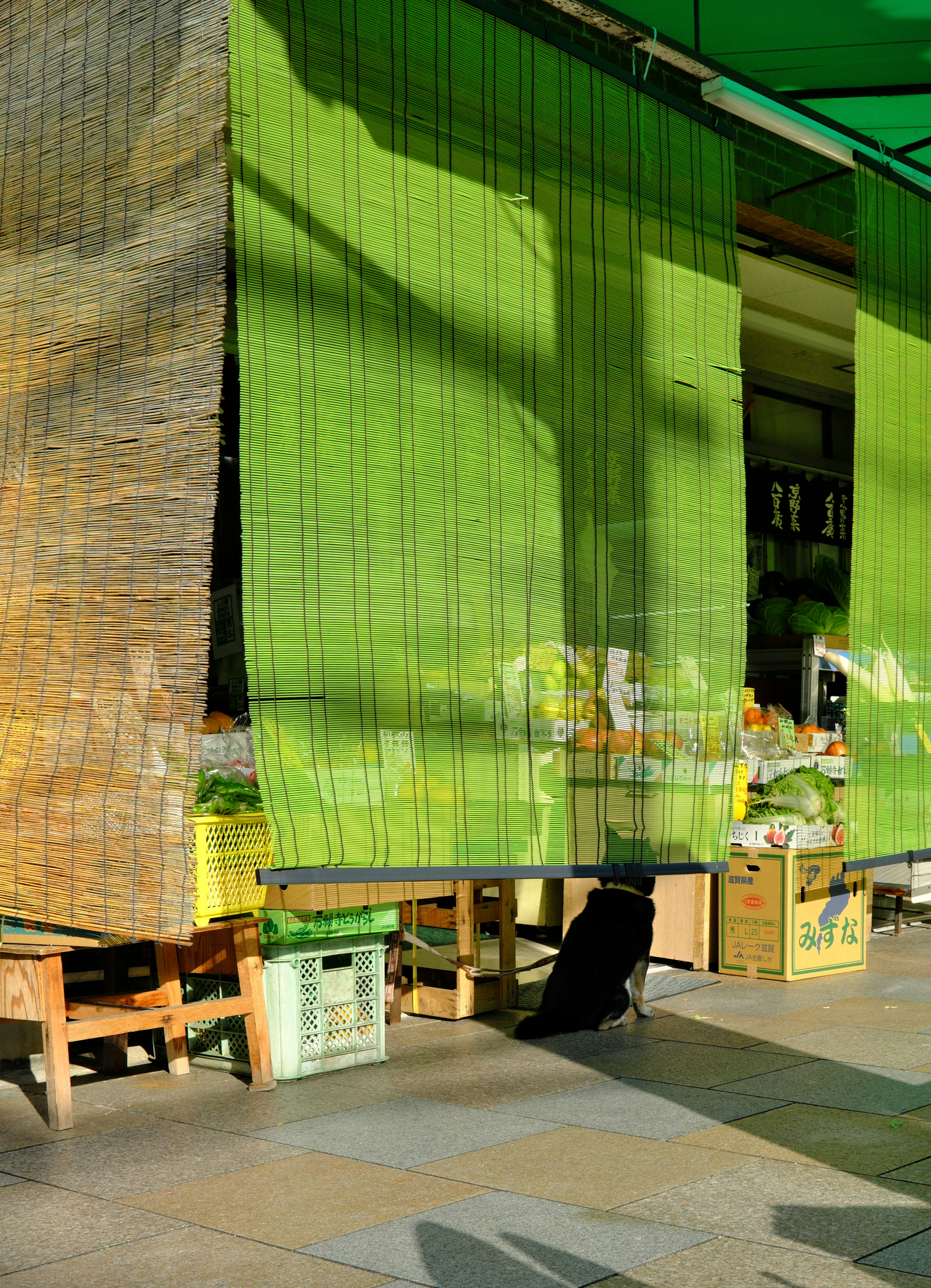 Market entrance with green curtains and a black dog