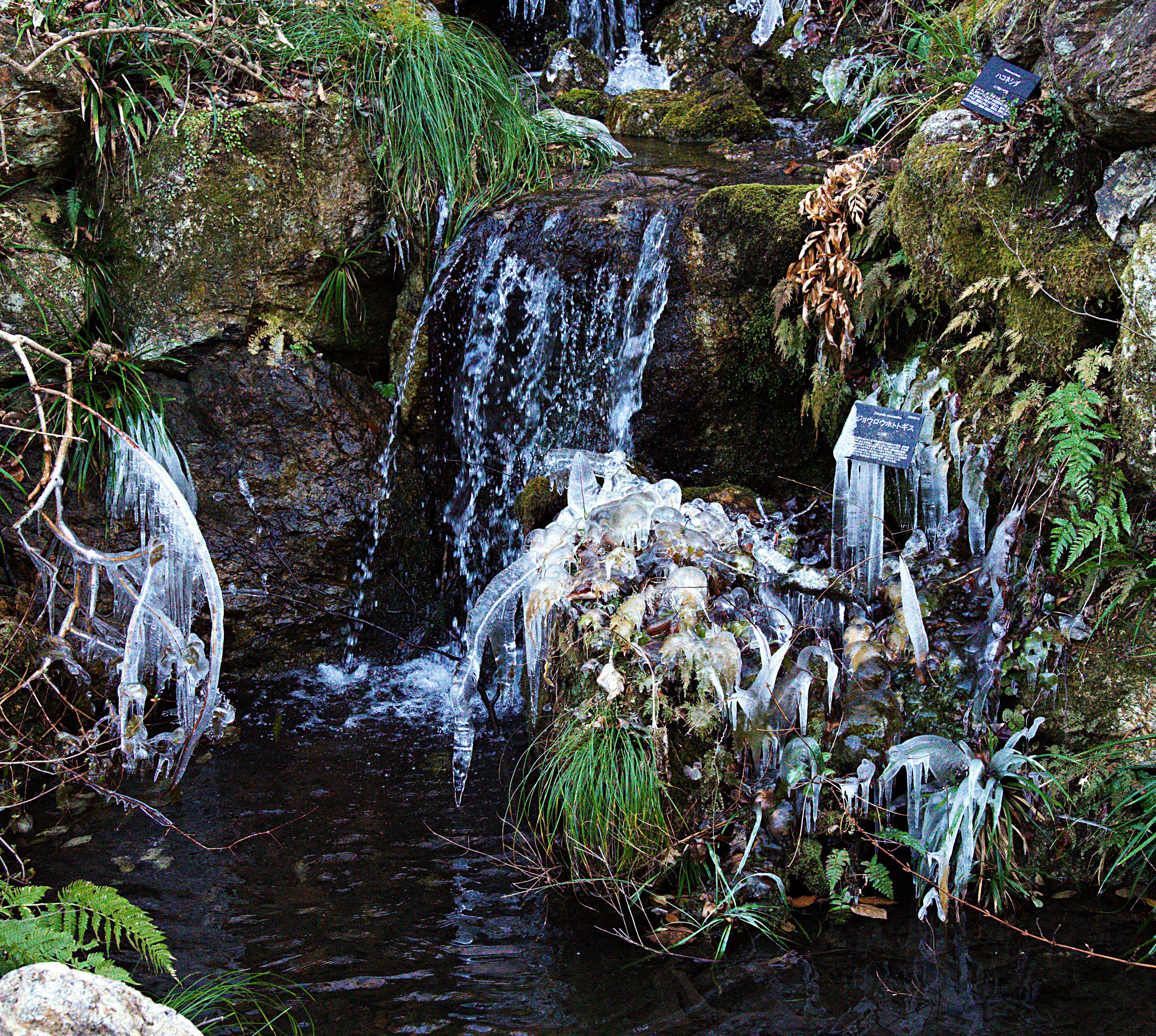 Vista de una pequeña cascada con formaciones de hielo