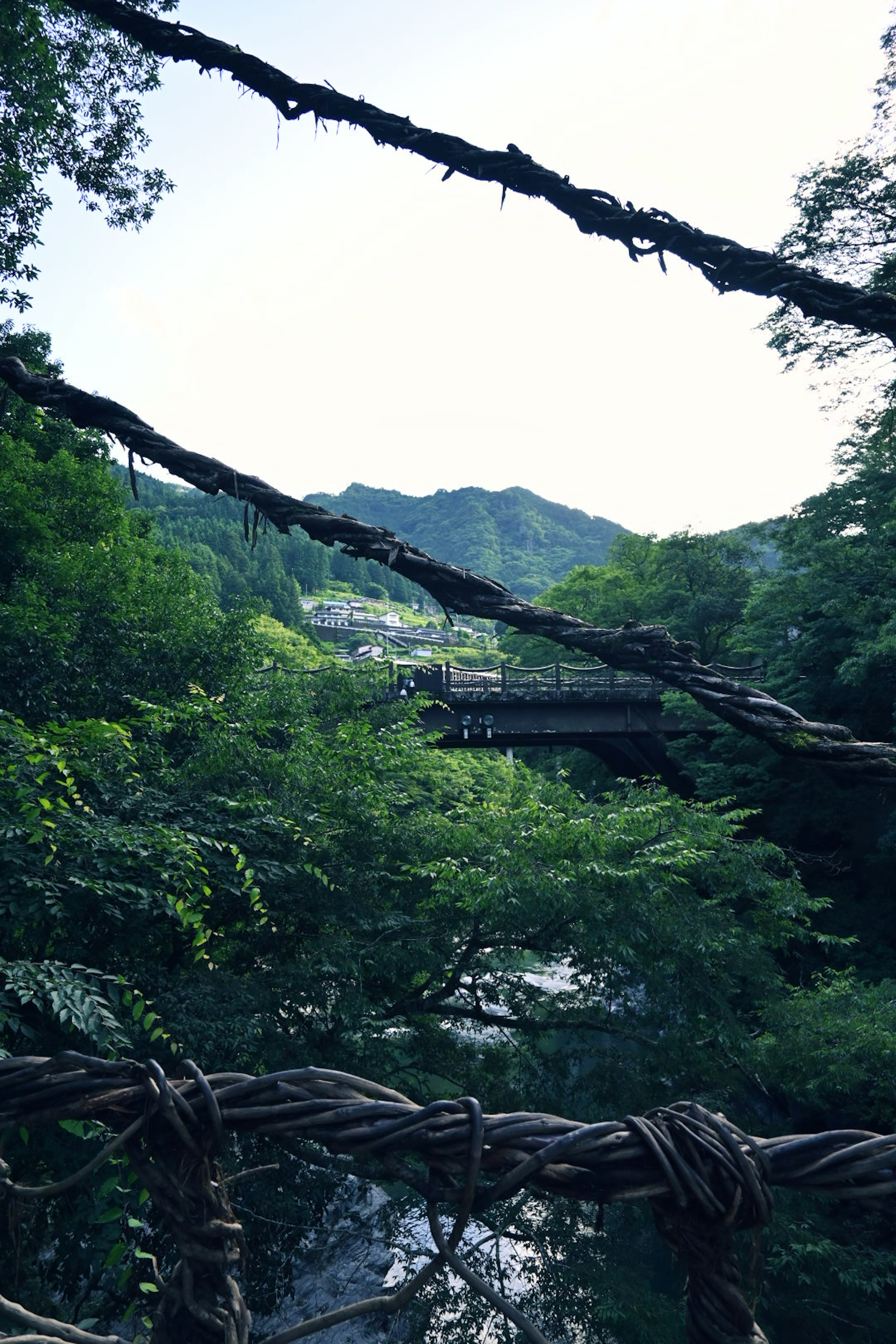 古老吊桥的风景，周围环绕着郁郁葱葱的绿树和群山