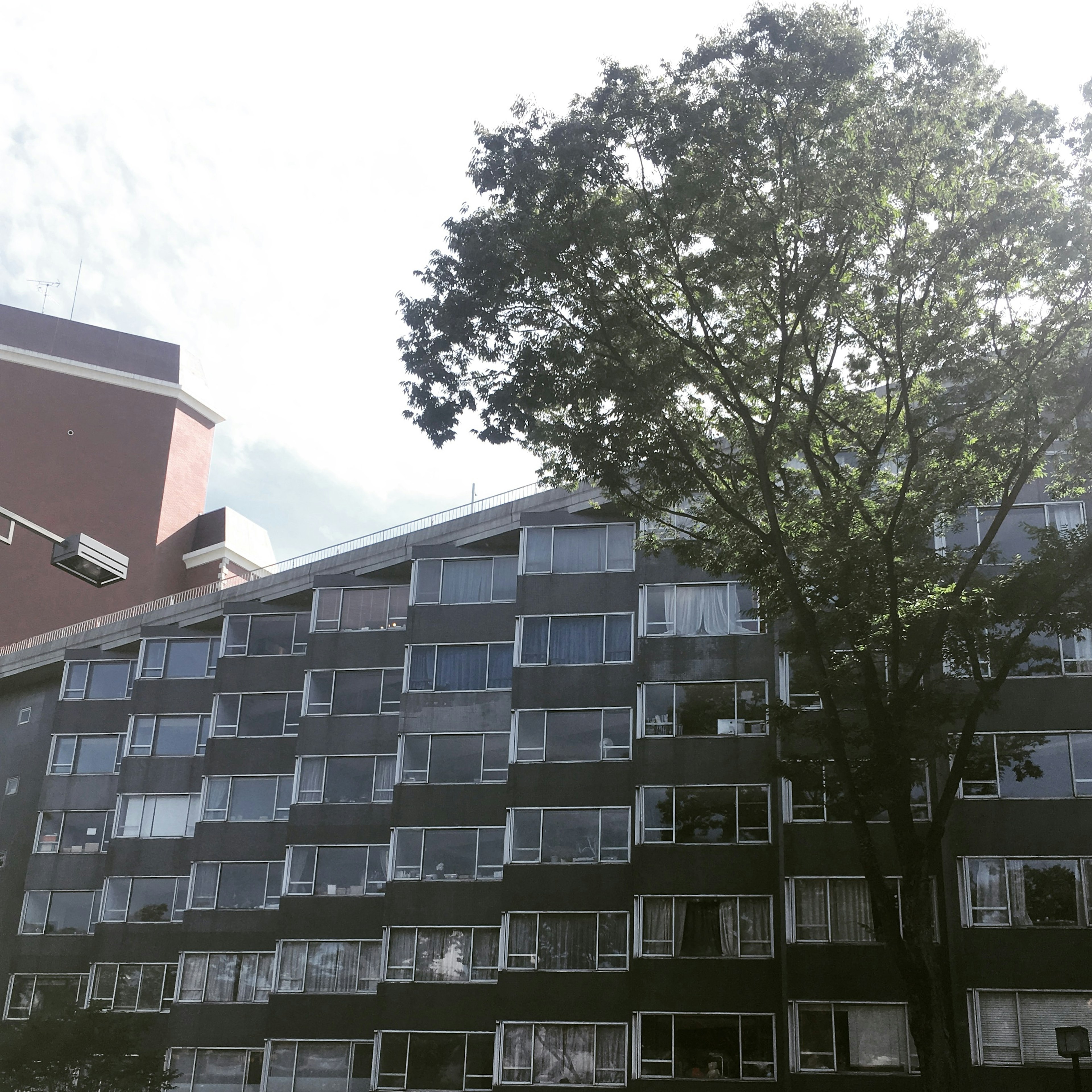 Modernes Gebäude mit großem Baum in städtischer Umgebung