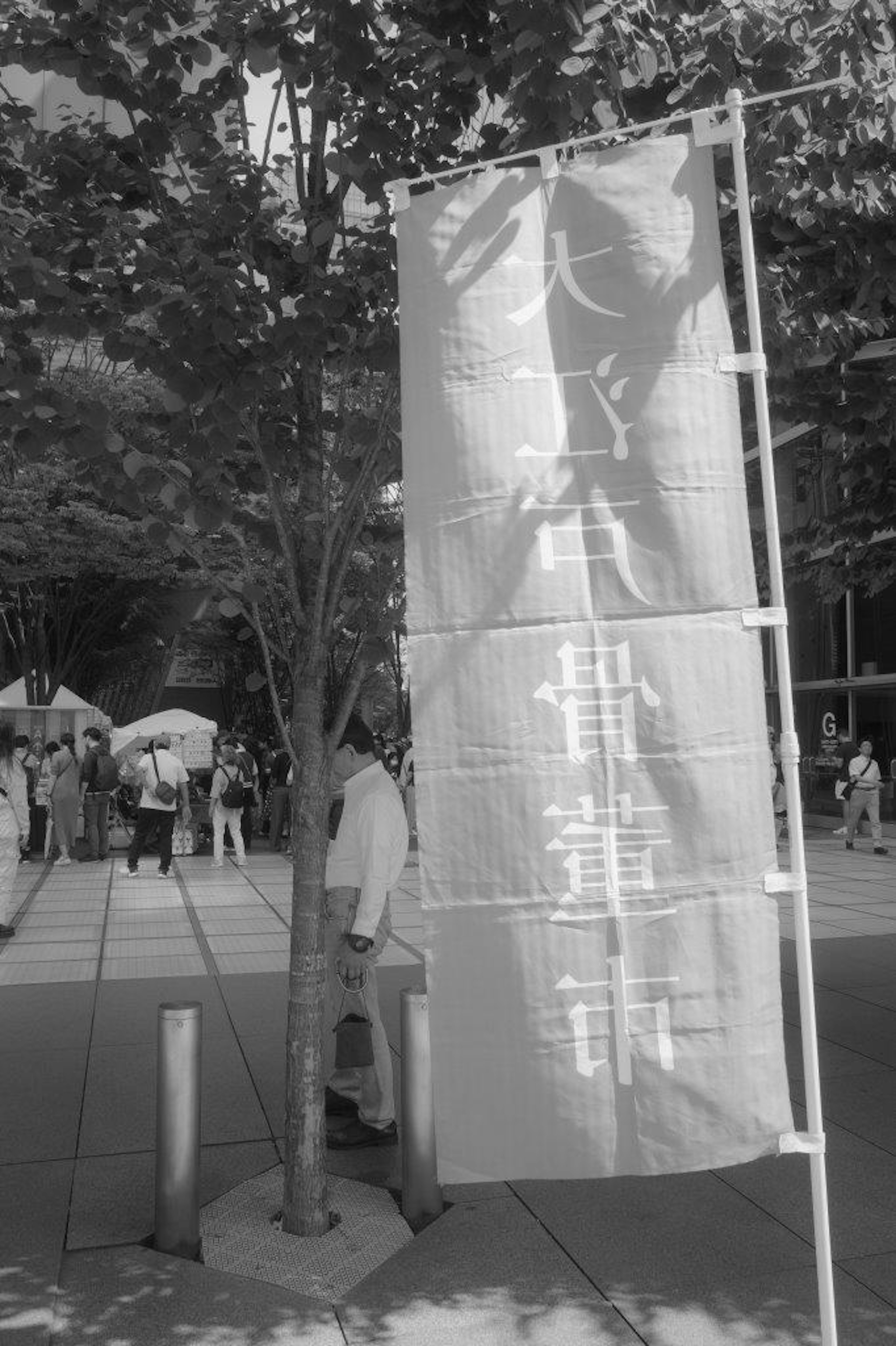 Black and white flag next to a tree with people walking in a street scene