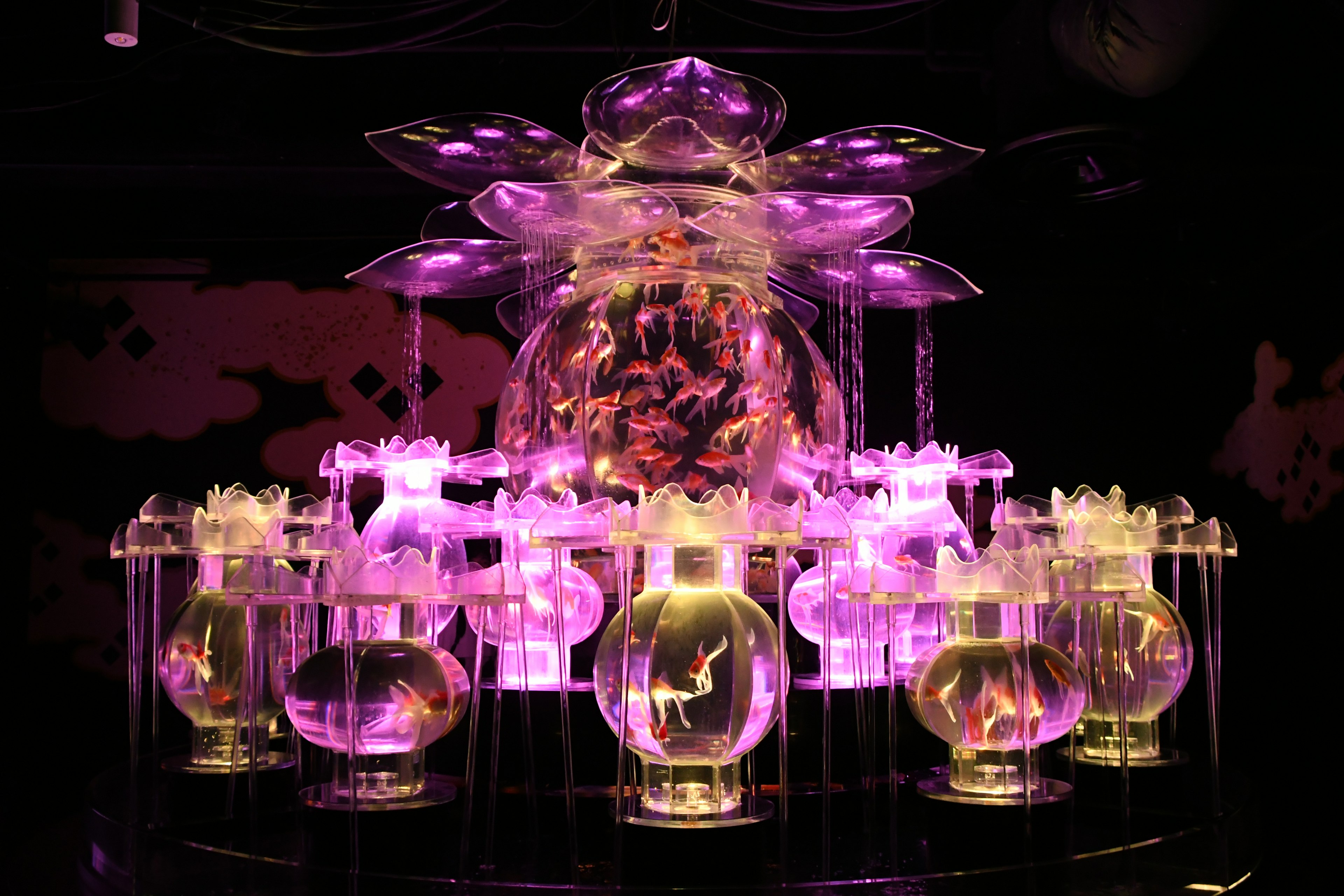 Decorative art installation with colorful aquariums