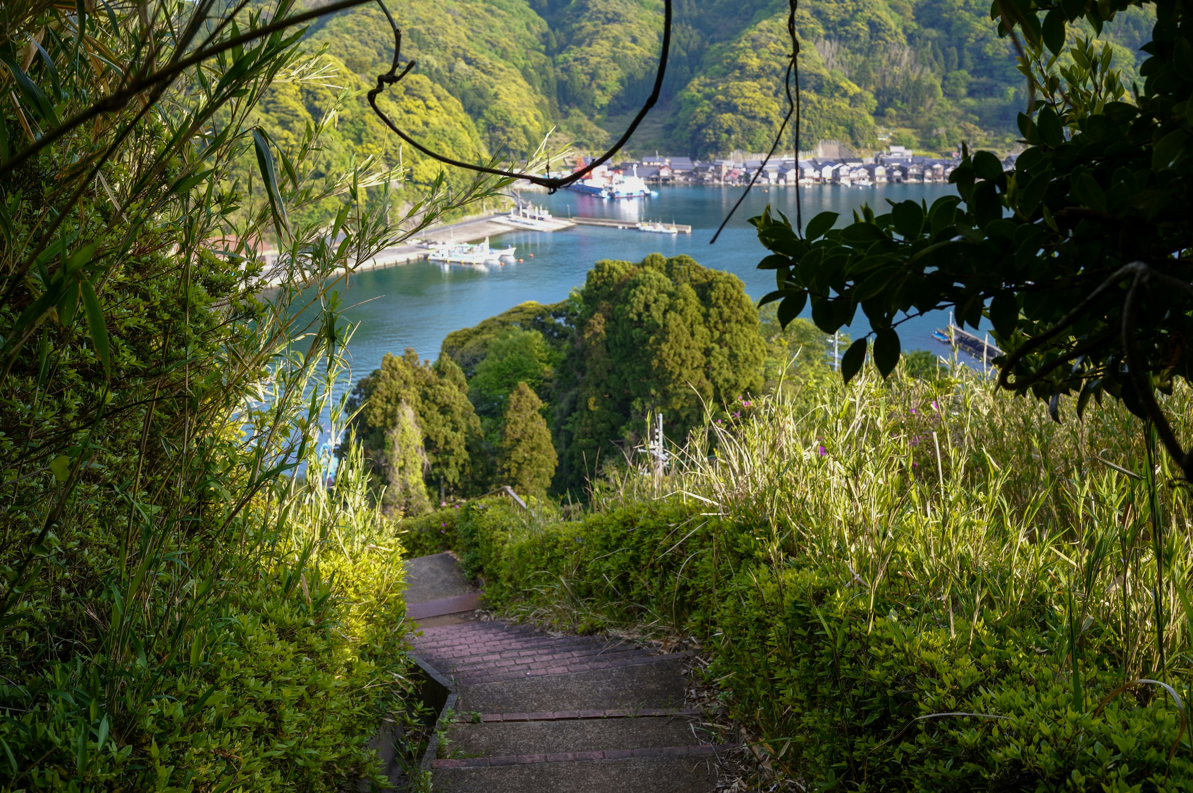 A scenic path leading towards a tranquil bay surrounded by lush greenery