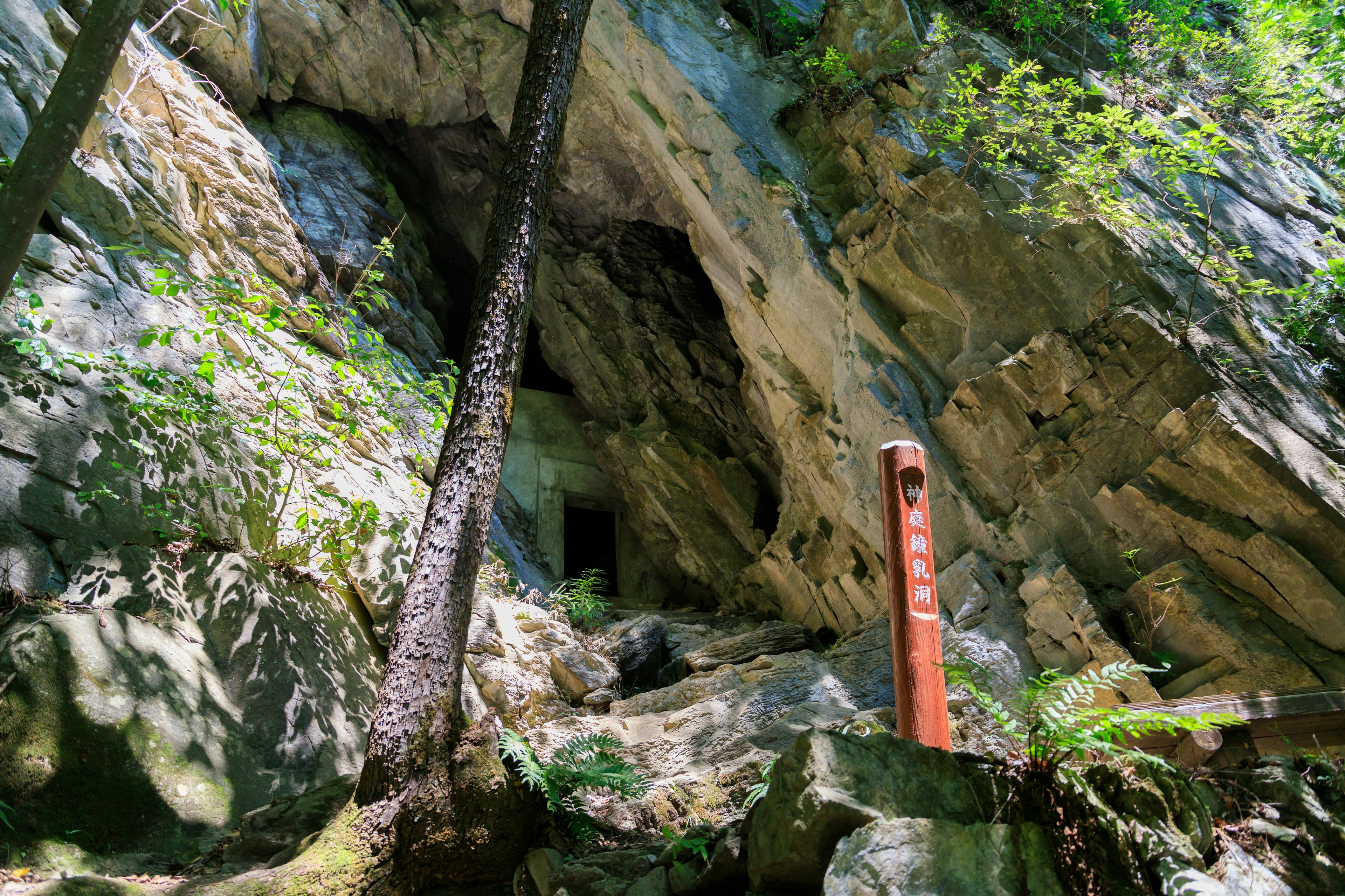 Paisaje exuberante con una cueva rocosa y un letrero rojo