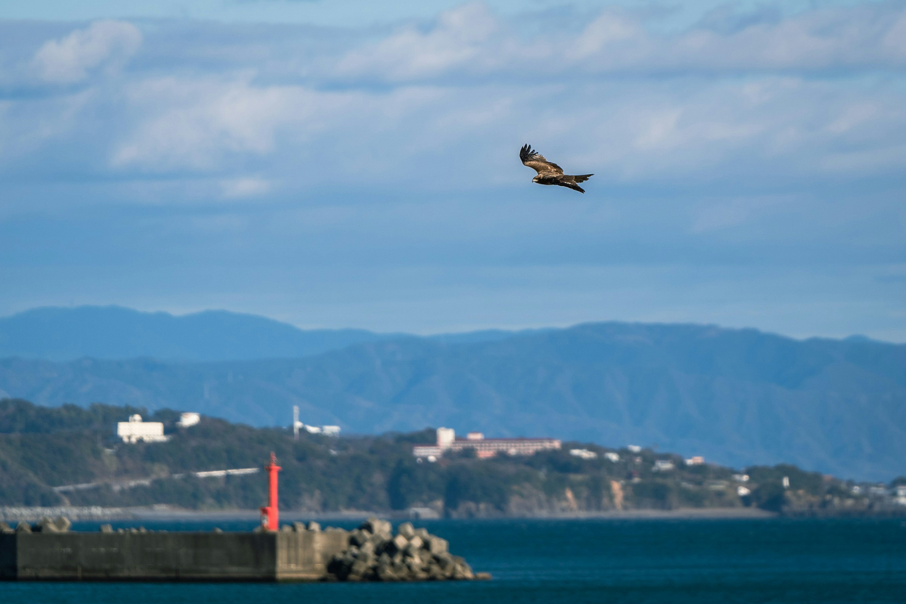 青い海と山々を背景に飛ぶ鳥の画像 港と赤い灯台が見える