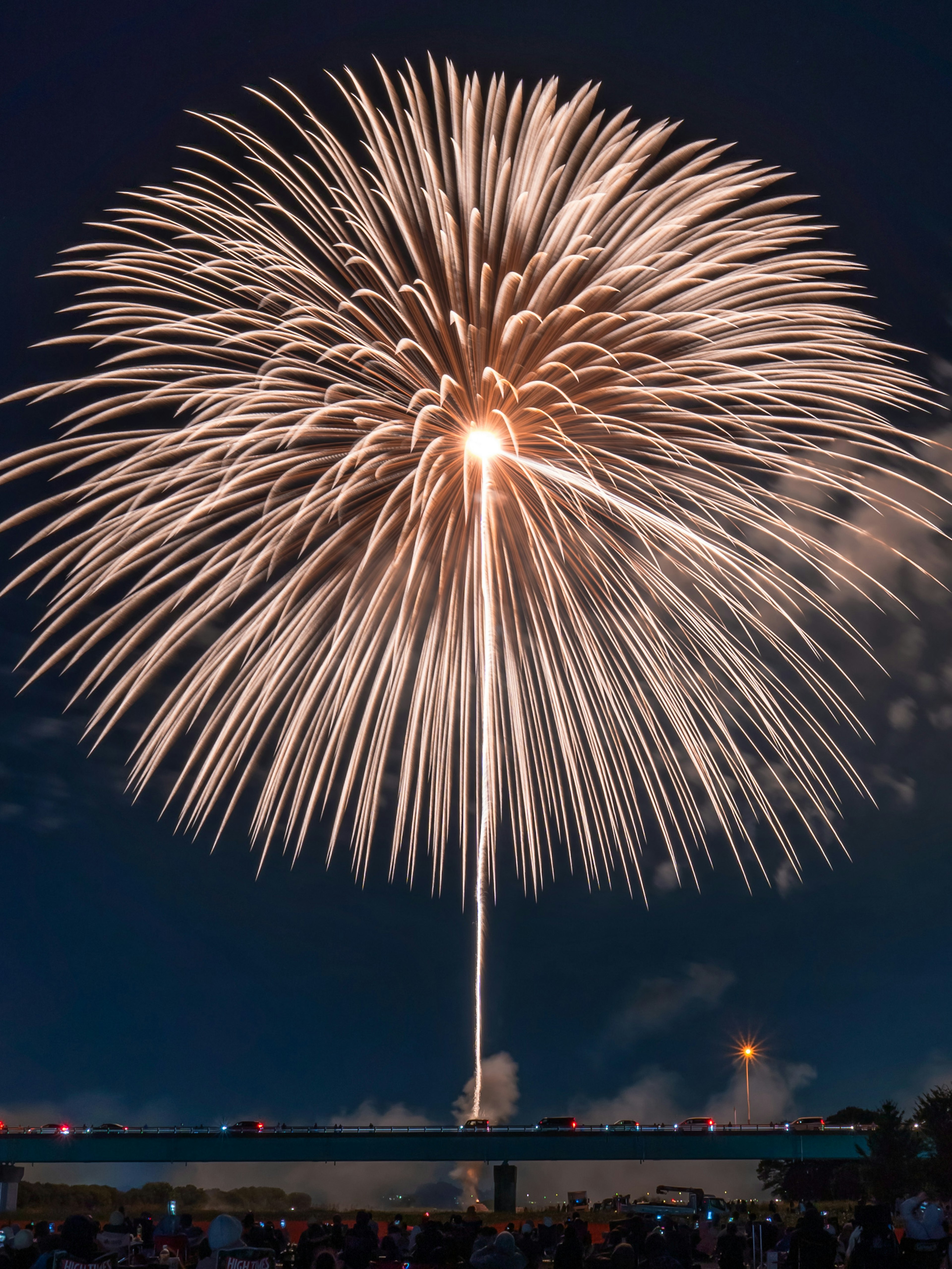 Spectaculaire feu d'artifice illuminant le ciel nocturne