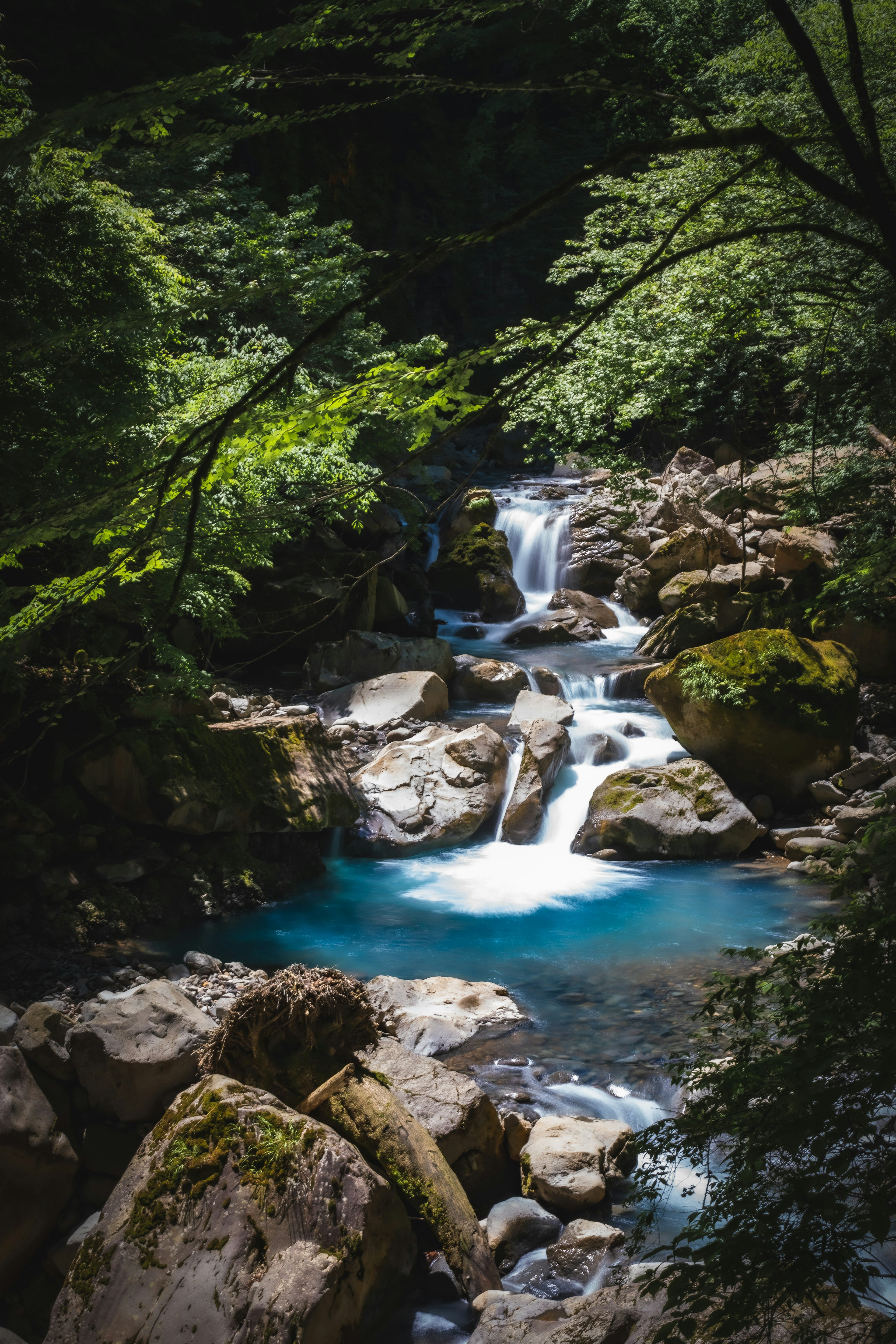 緑豊かな森に囲まれた美しい小川の流れと岩