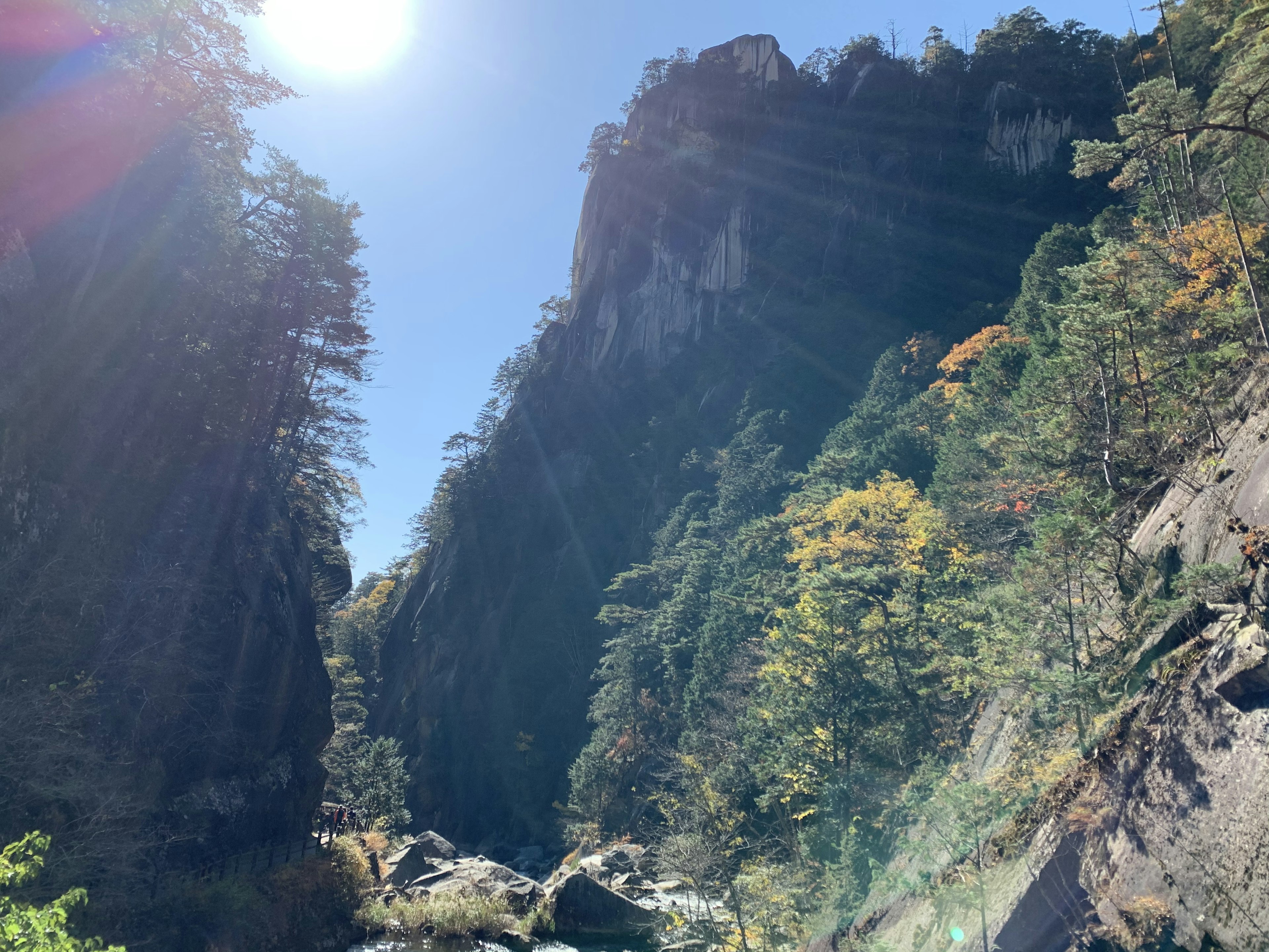 青空と太陽の光が差し込む峡谷の風景 緑と黄色の木々が点在する