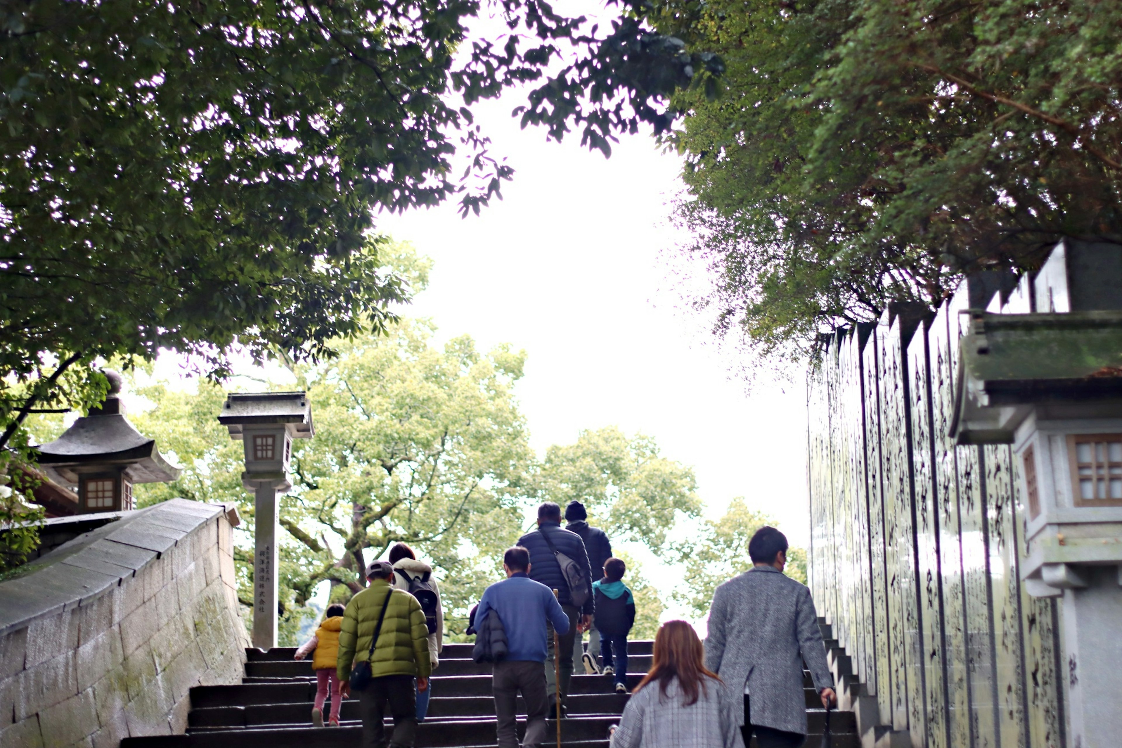 People climbing stairs surrounded by green trees