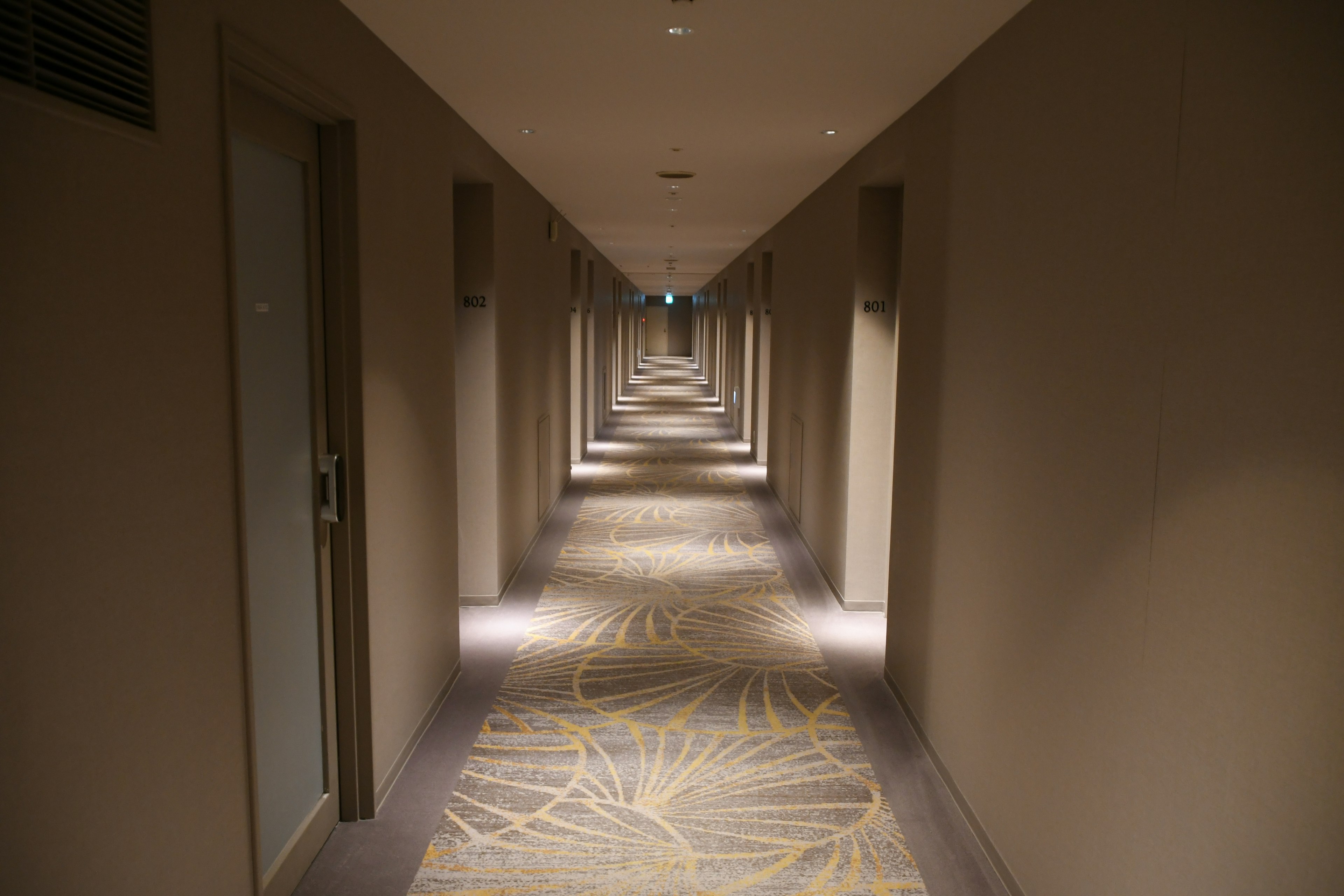 Long dimly lit hotel corridor with patterned carpet and doors