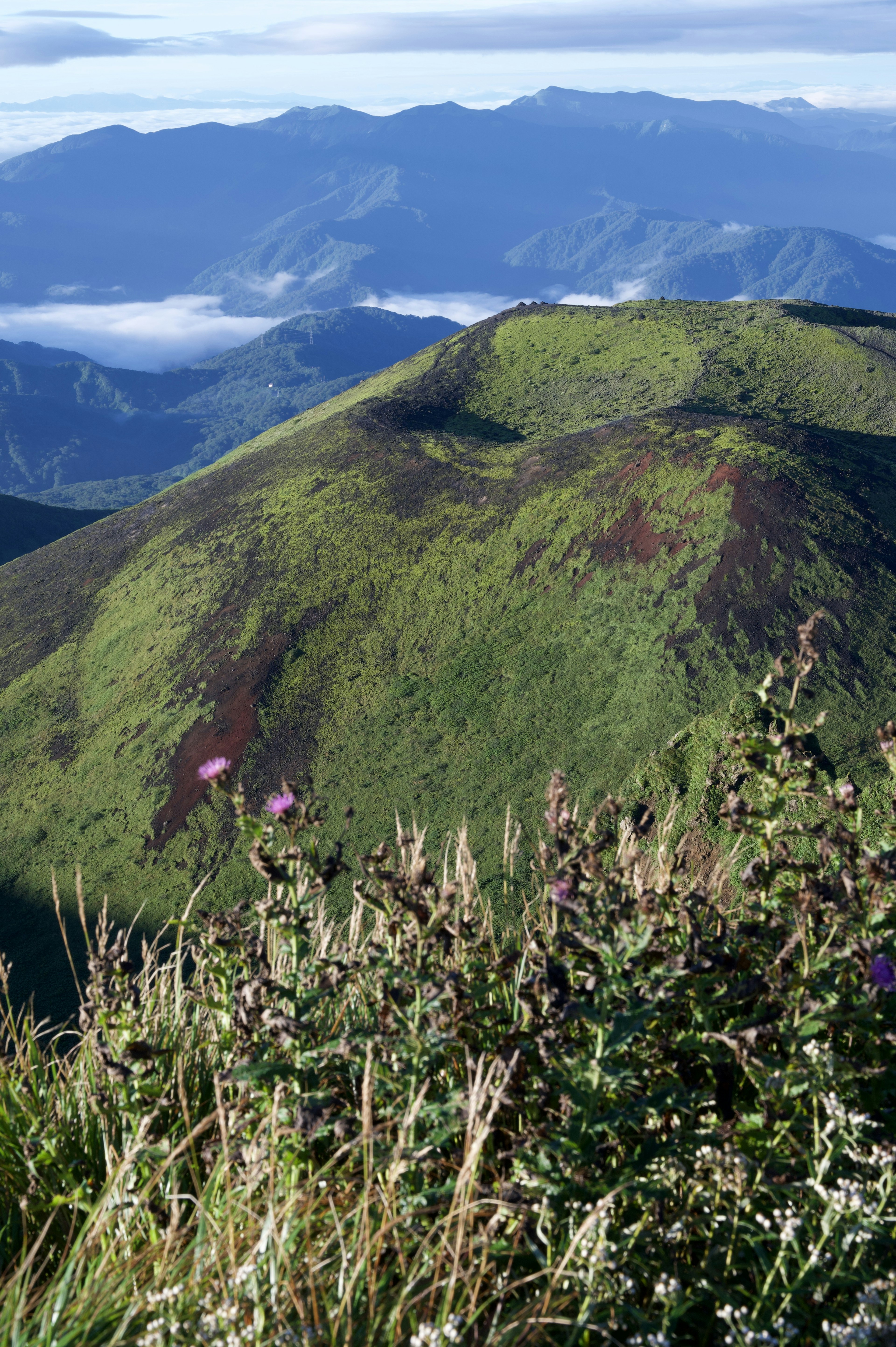 Colline verdoyante avec des montagnes au loin