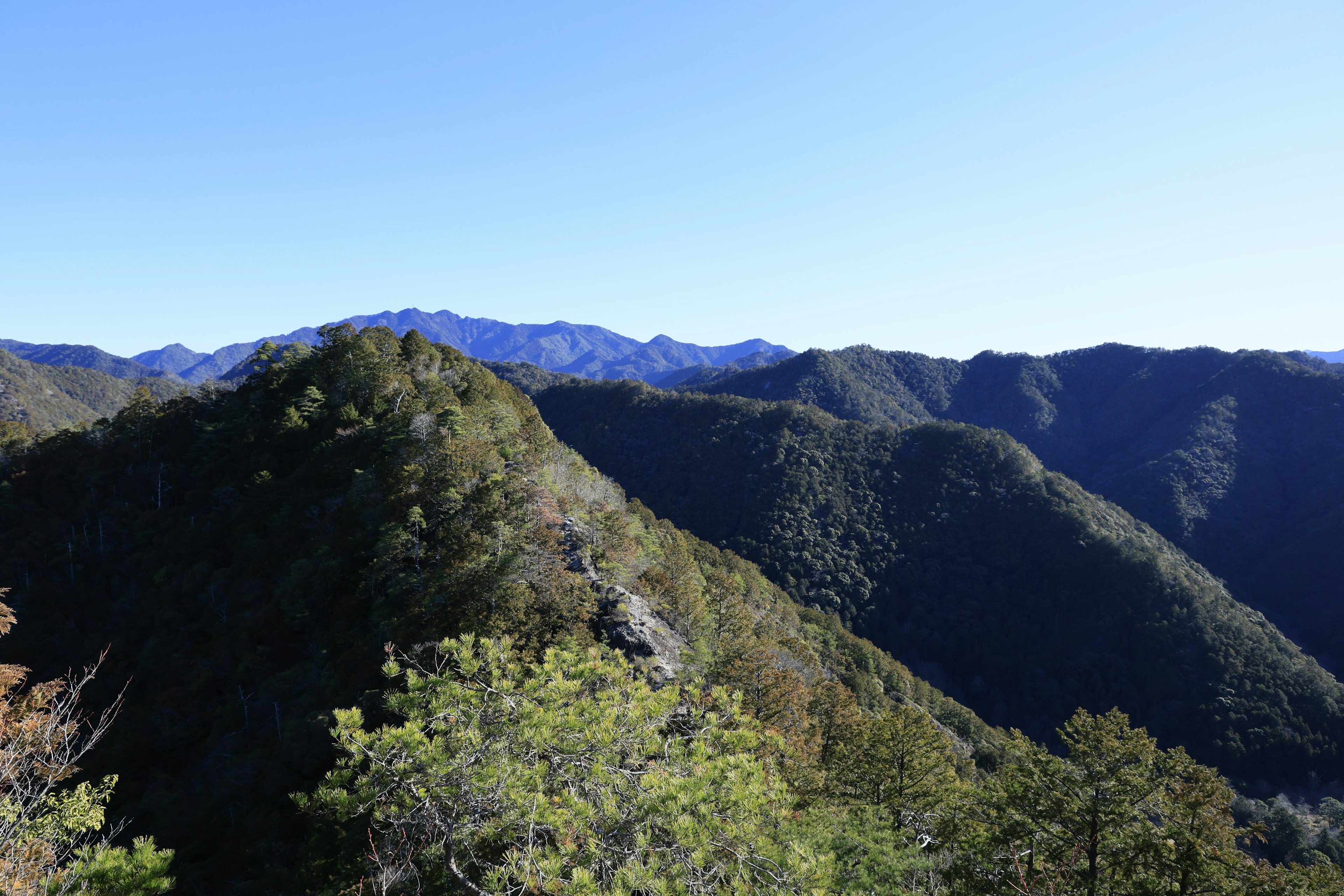 Paesaggio montano con cielo blu alberi verdi che coprono i versanti