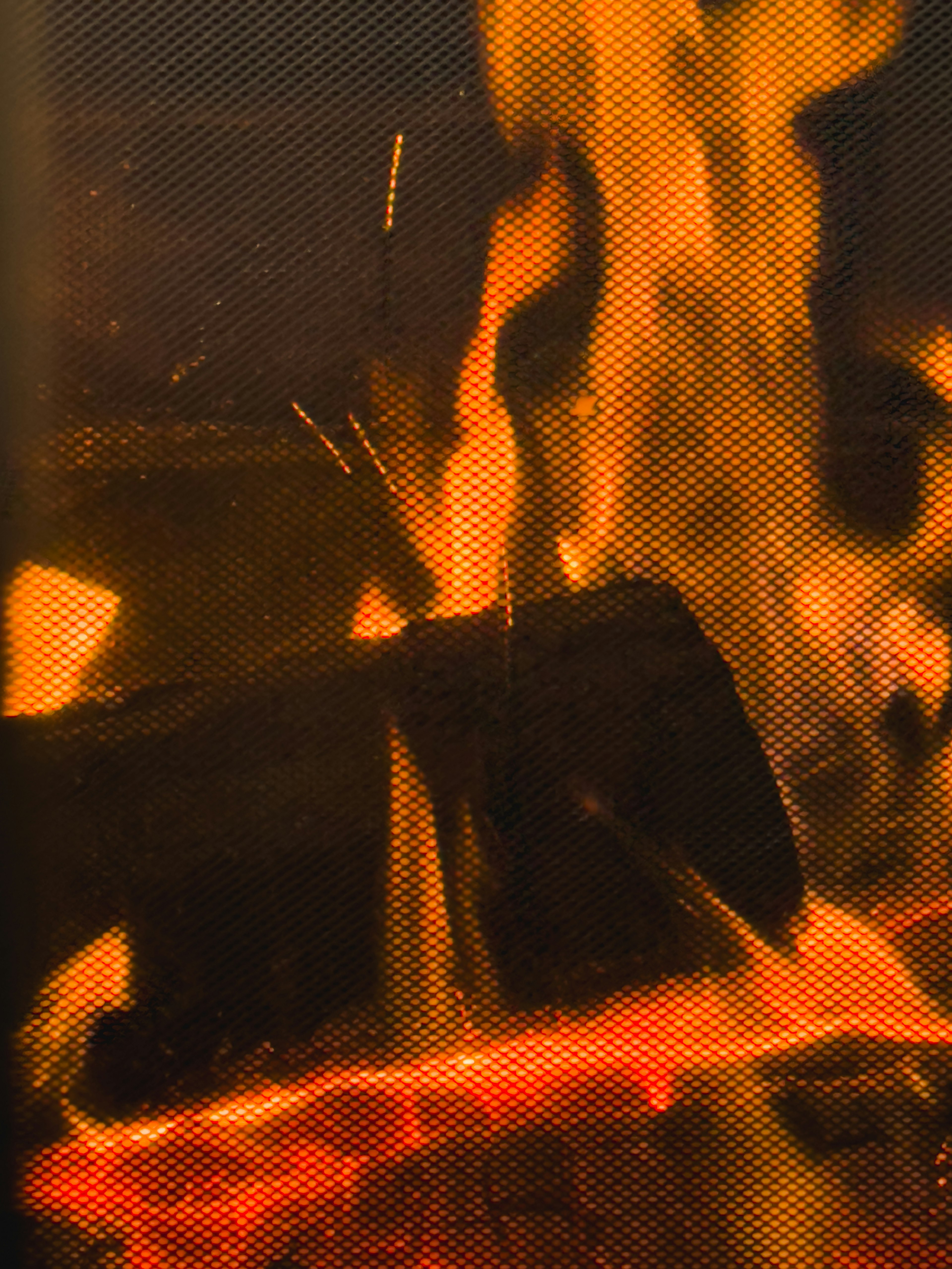 Close-up of warm flames burning logs