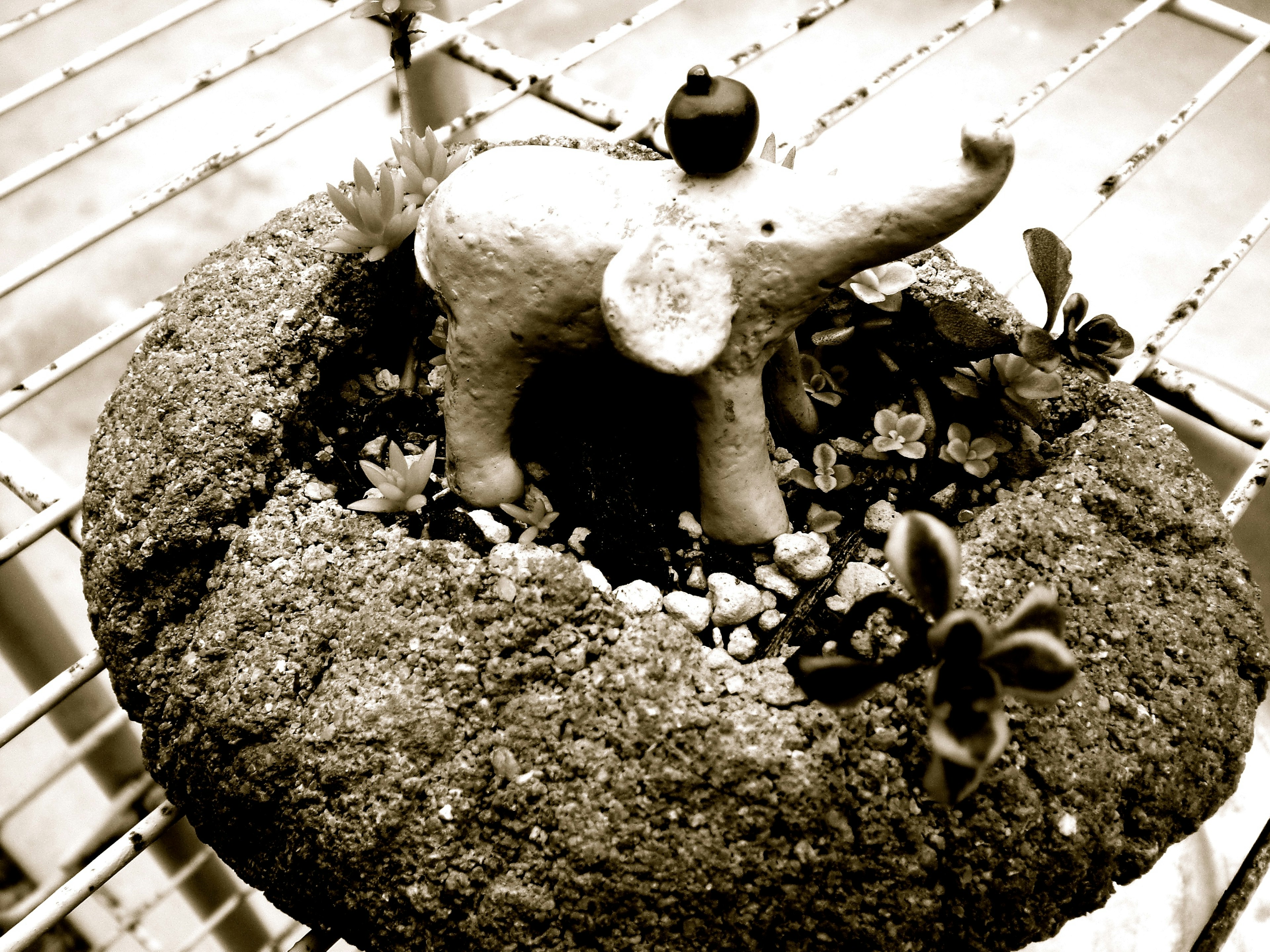 Un pequeño elefante de cerámica de pie entre plantas en una imagen en blanco y negro