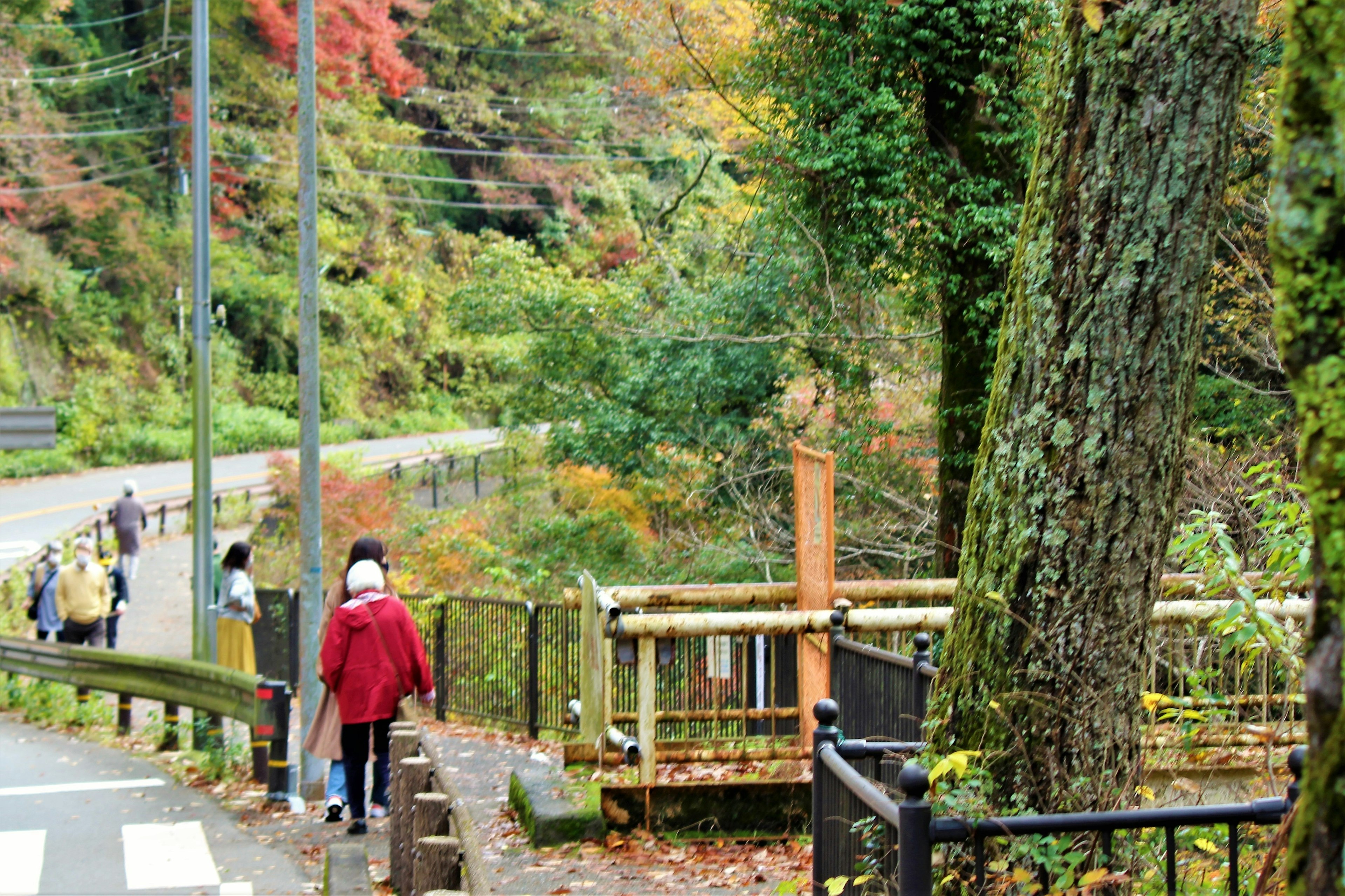 秋の紅葉の中を歩く人々の風景