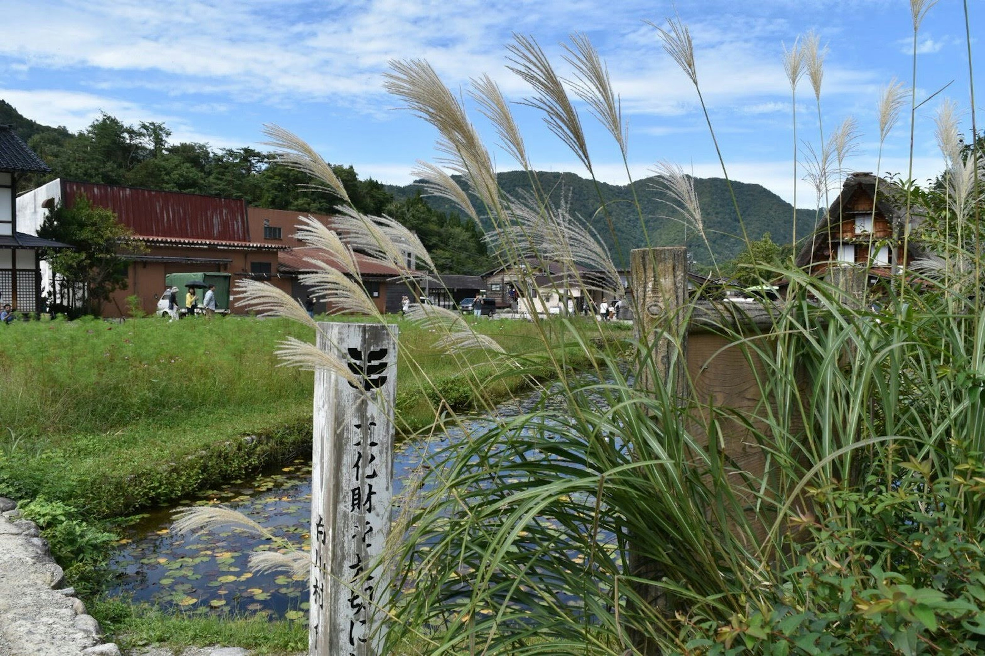 穏やかな田園風景と青い空、揺れるススキ、古い家屋が並ぶ