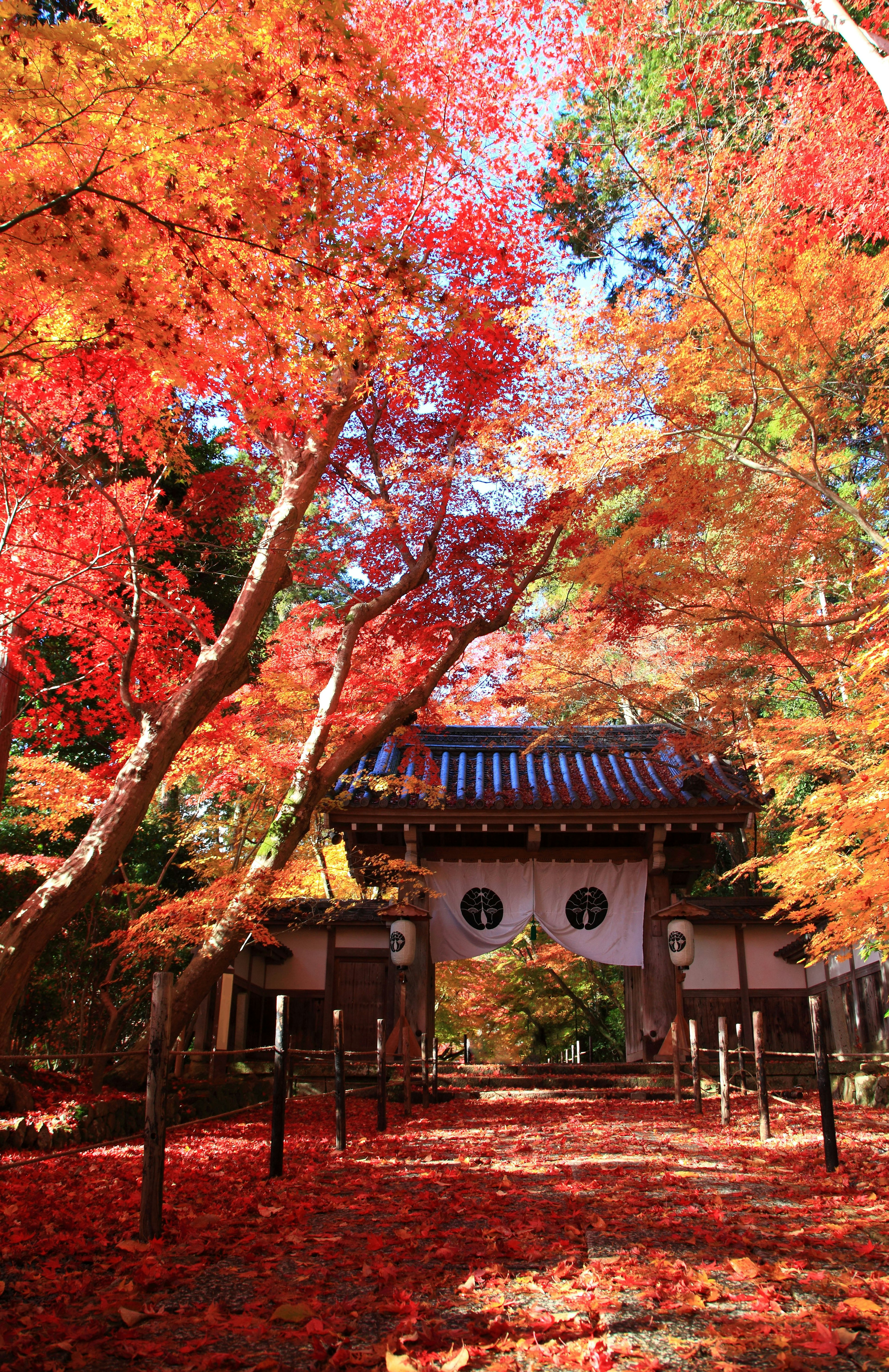 Entrance of a traditional building surrounded by autumn foliage