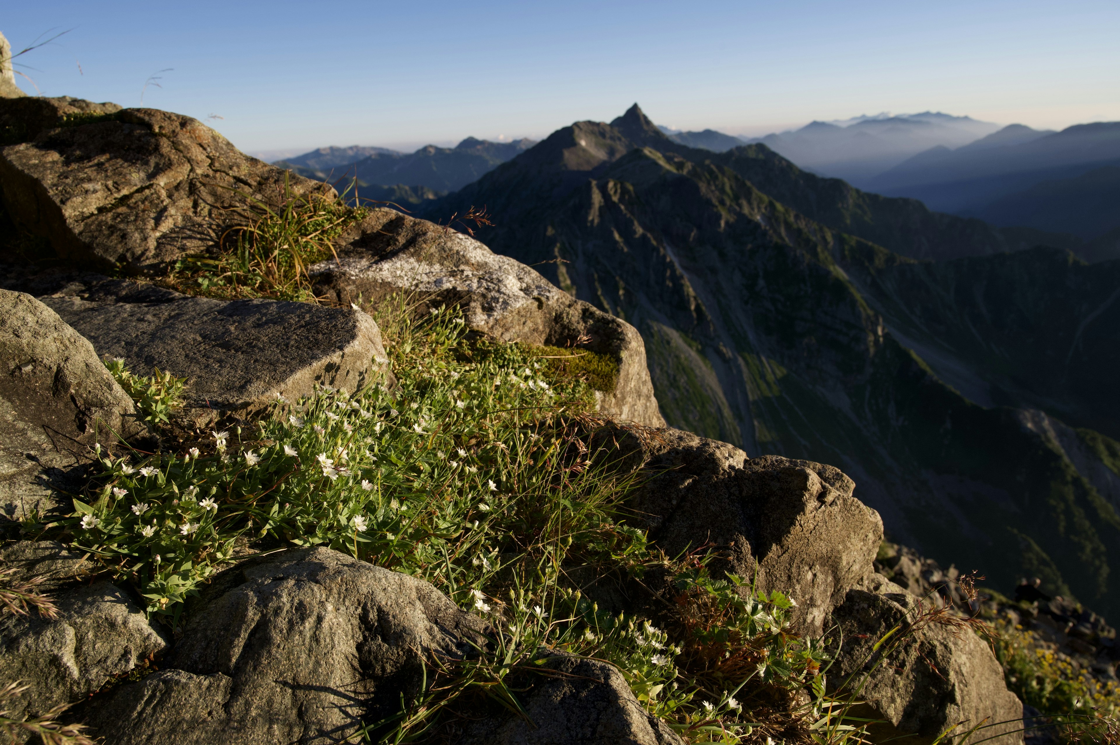 Grüne Pflanzen auf Felsen mit Blick auf entfernte Berge