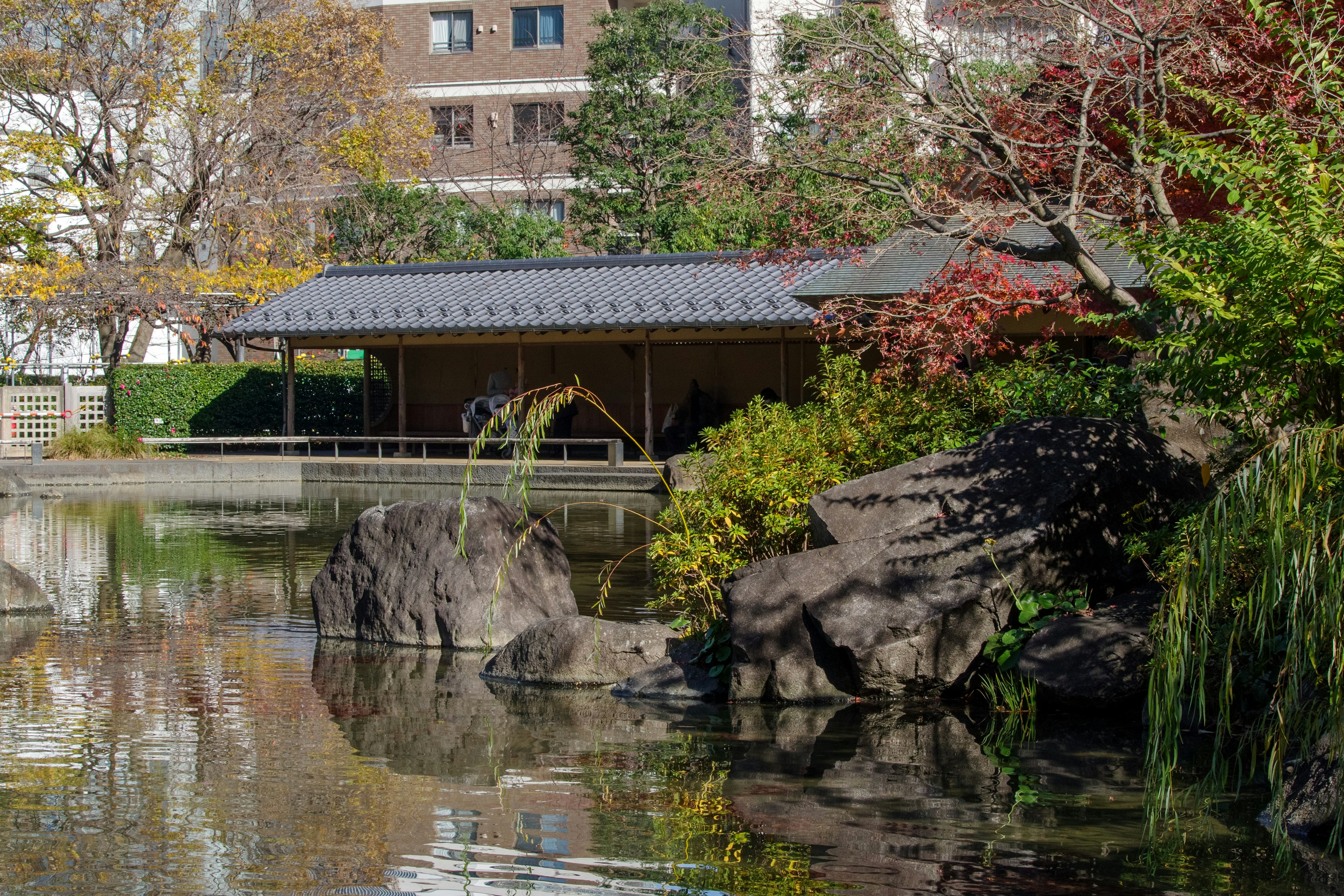 池のほとりにある日本庭園の茶室と岩