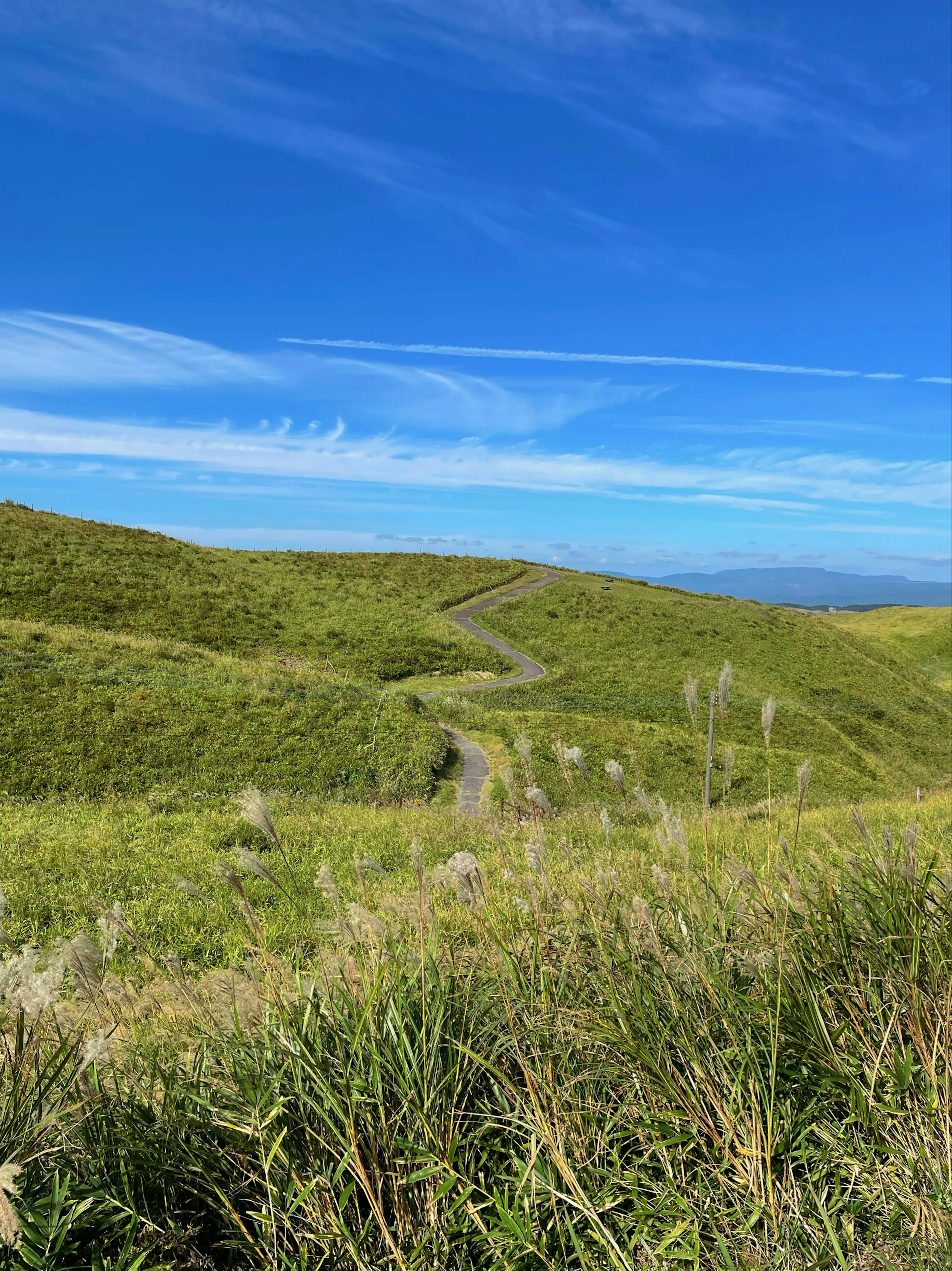 青い空と緑の丘が広がる風景 緑の草が生い茂る小道が見える