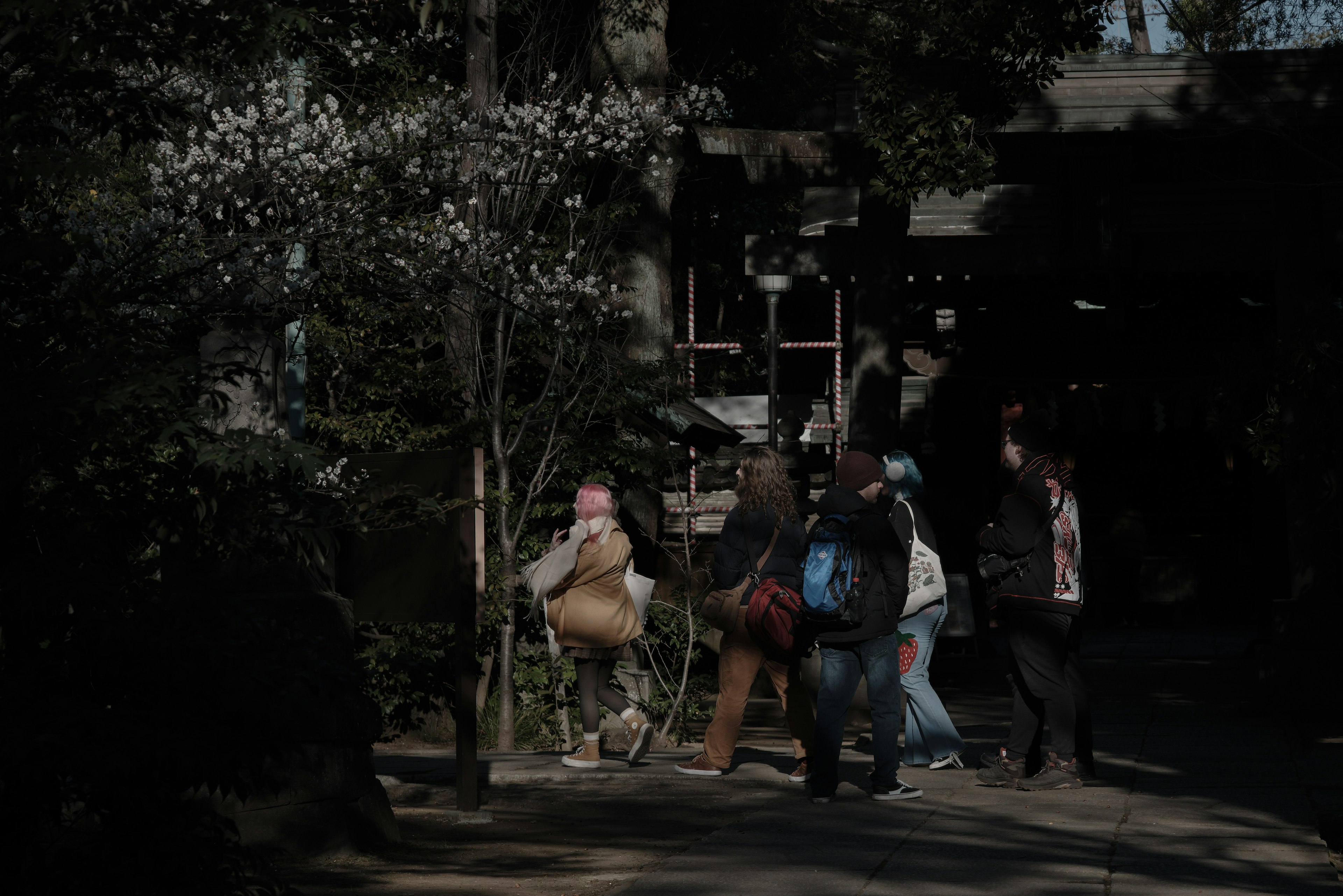 Personas caminando en un parque con árboles en flor