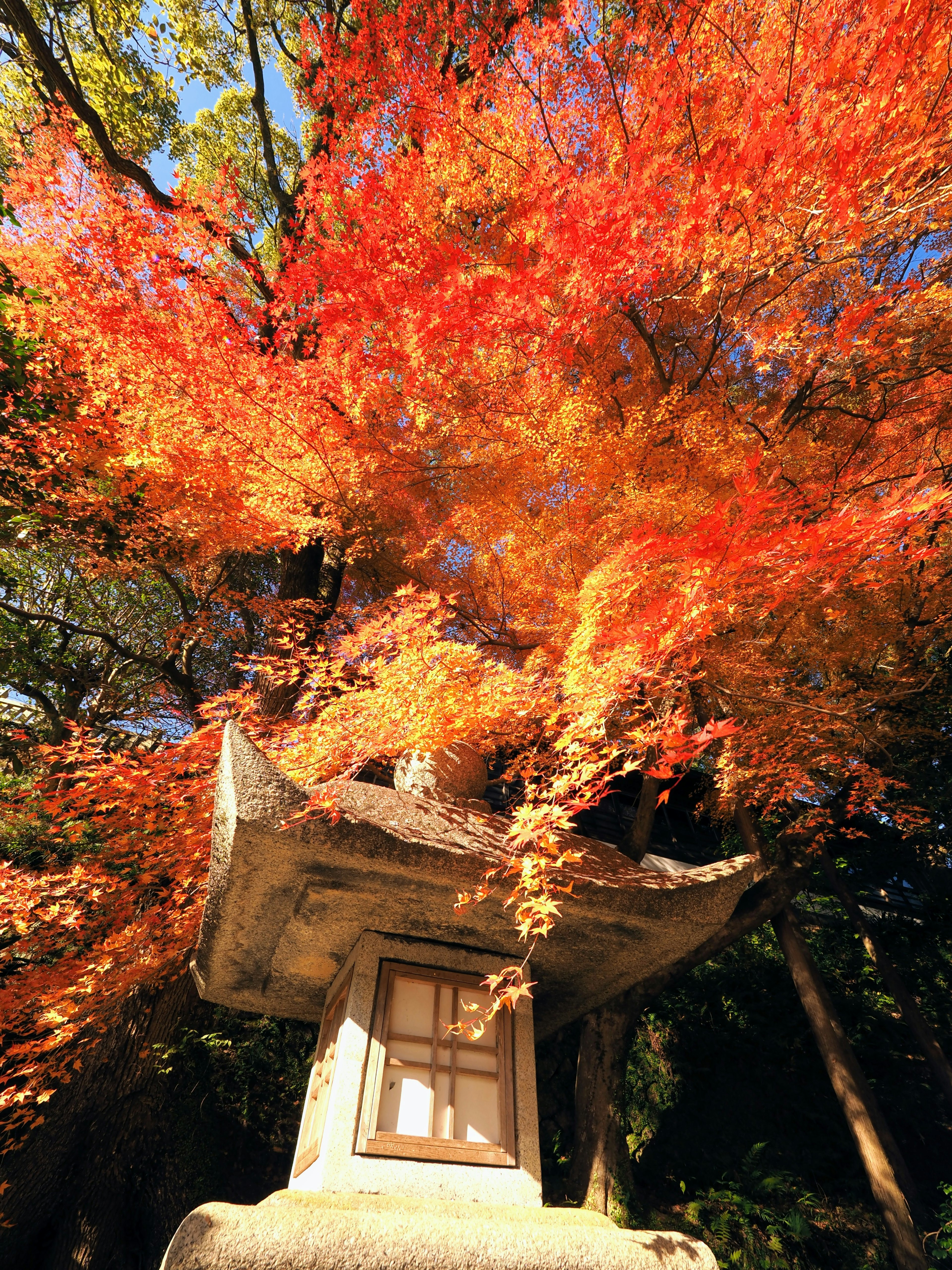 A stone lantern surrounded by vibrant red autumn leaves