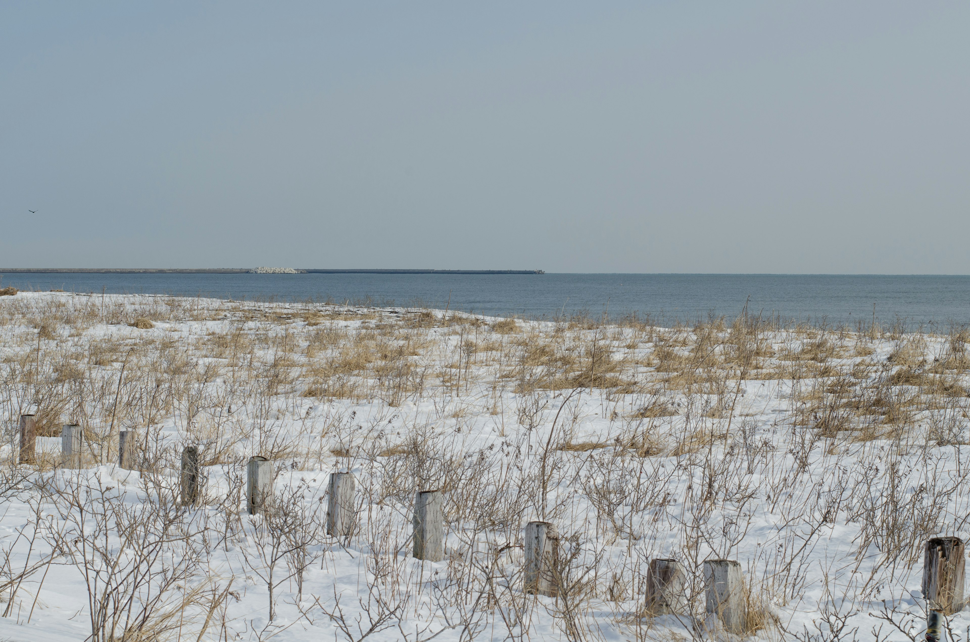 Snow-covered grassland with a calm sea view