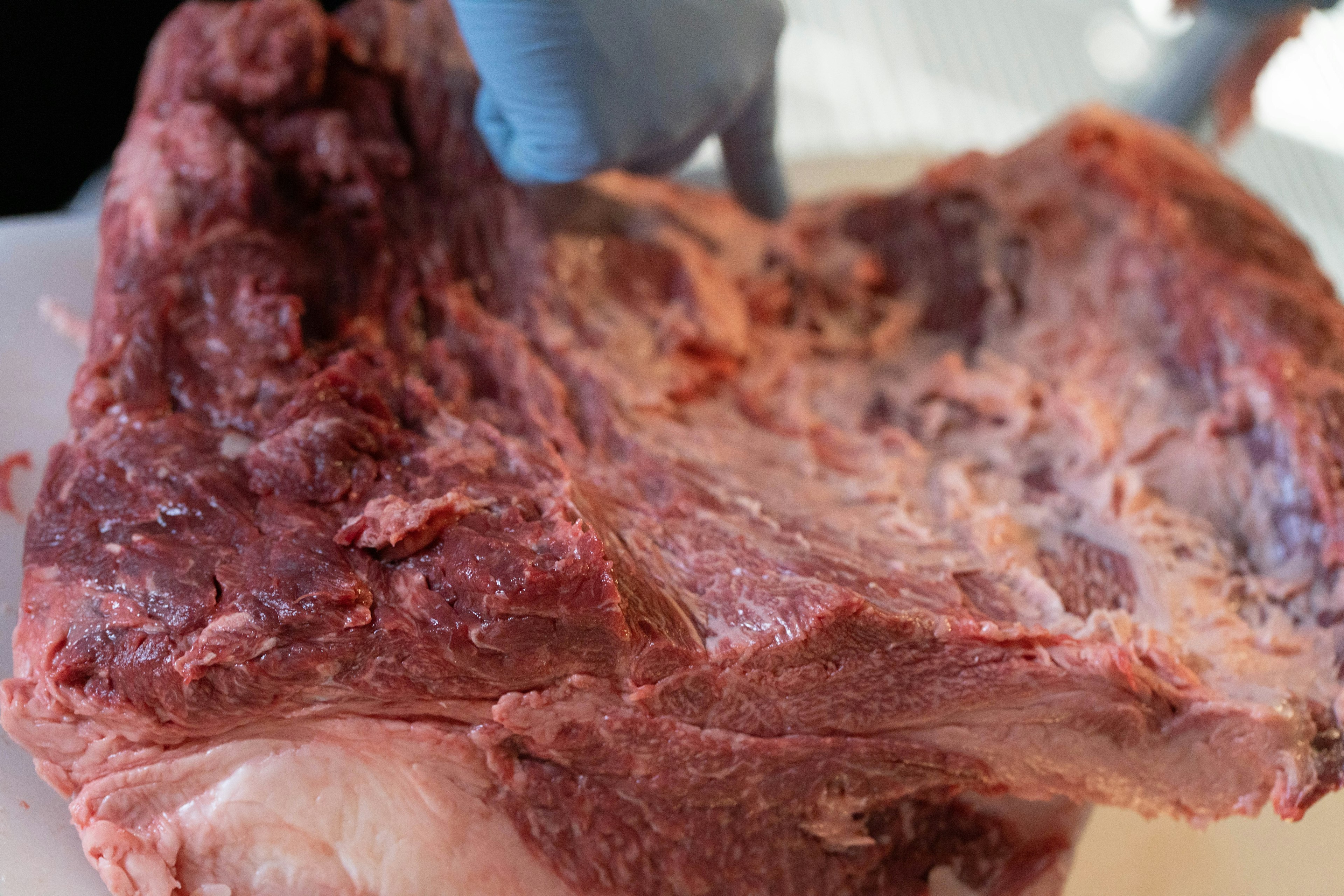 Una mano con guante azul señalando un gran trozo de carne