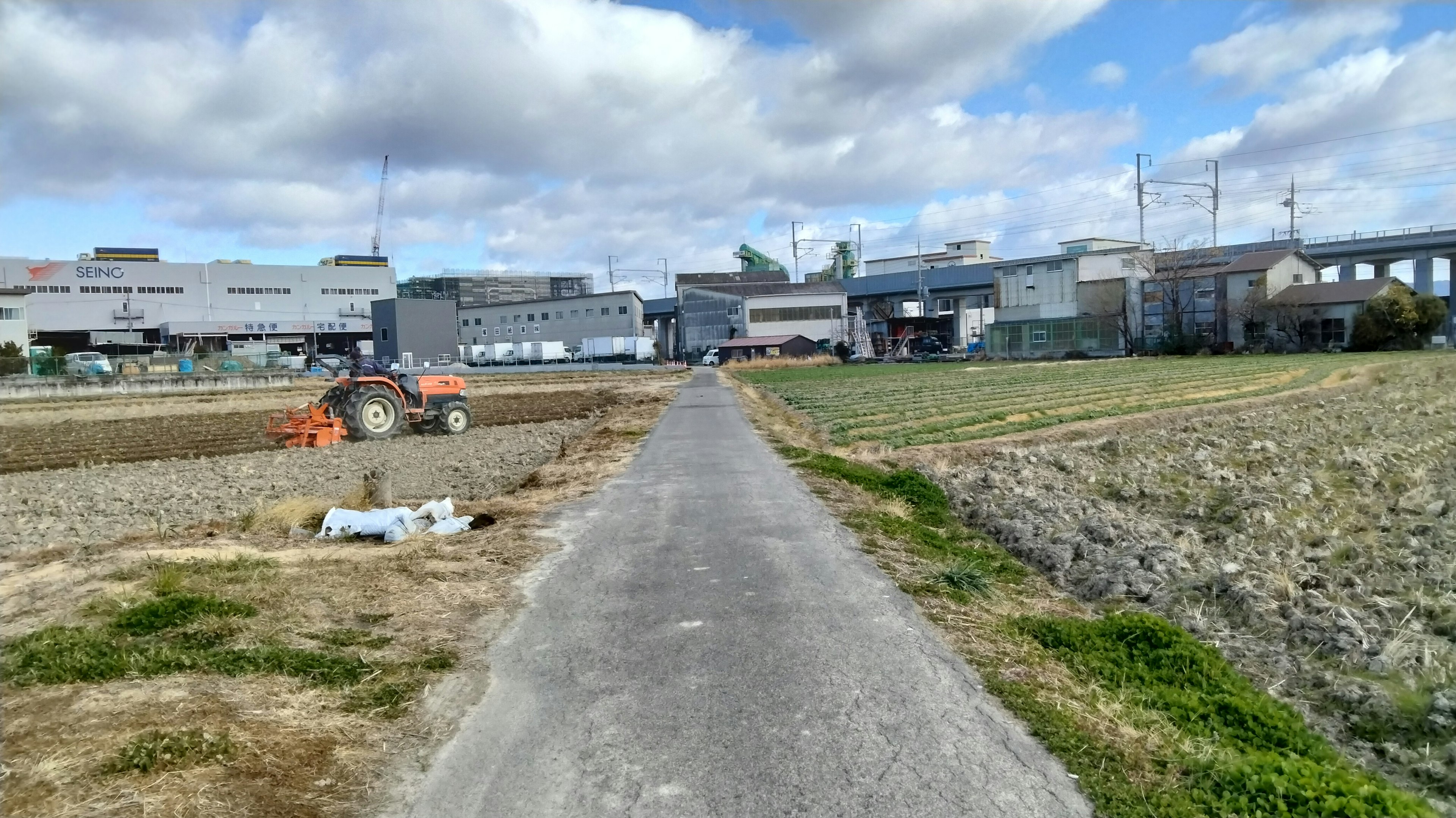 Paved path leading through agricultural land with buildings in the background