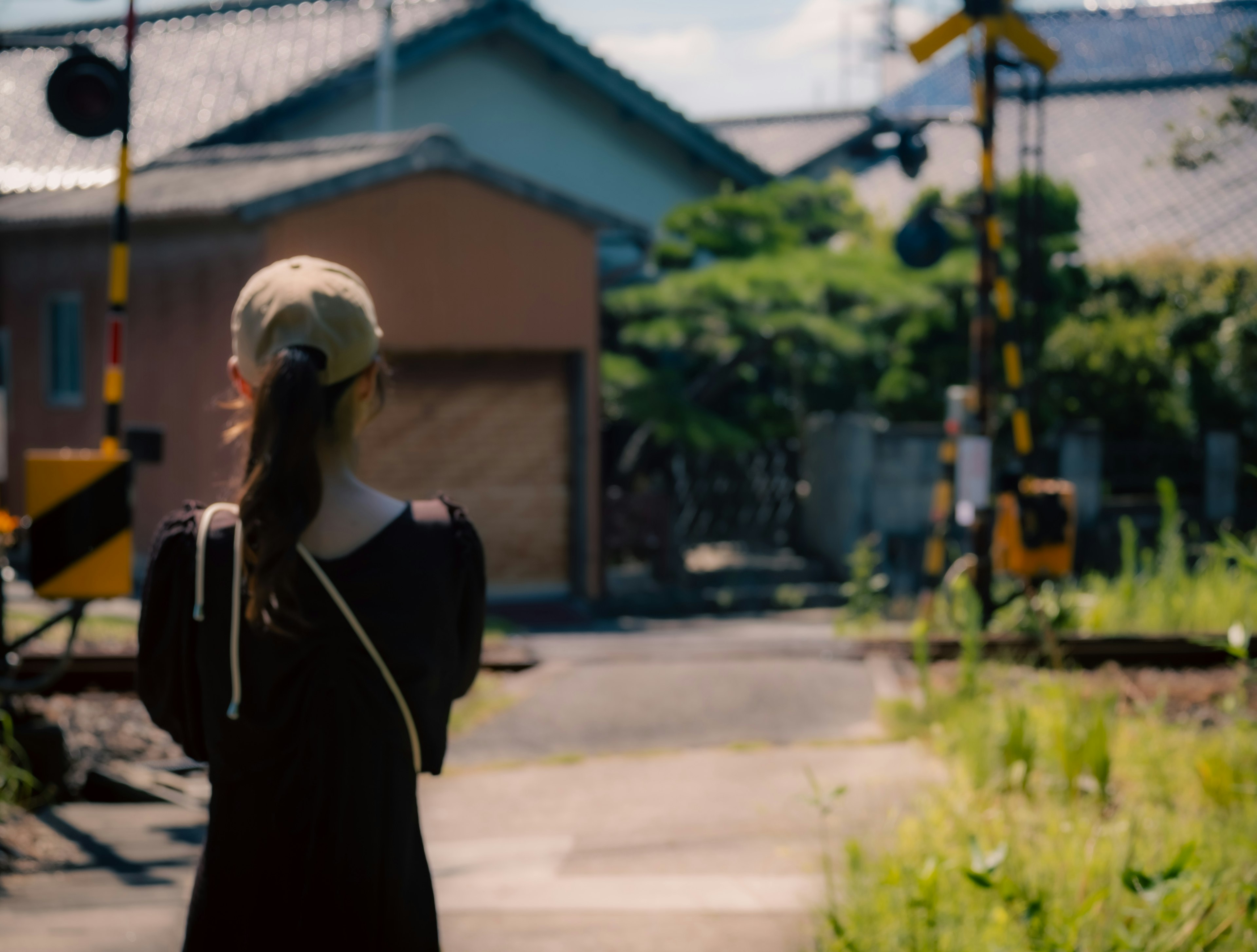 後ろ姿の女性が道路を見つめる風景 緑豊かな背景と交通信号が特徴