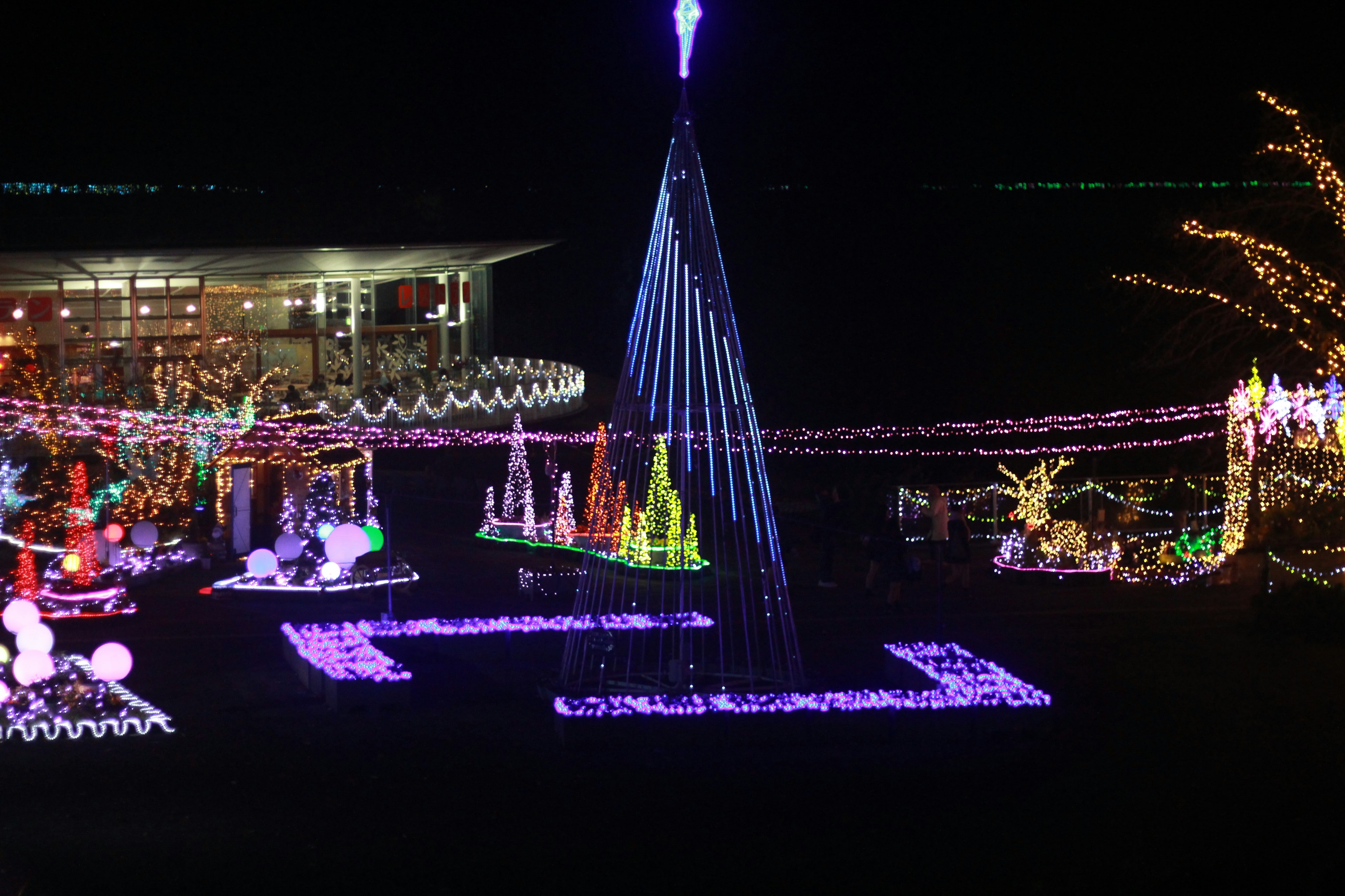 Eine nächtliche Szene mit bunten Feiertagslichtern Ein wunderschön dekorierter Weihnachtsbaum mit lebhaften Lichtern und festlichen Ausstellungen