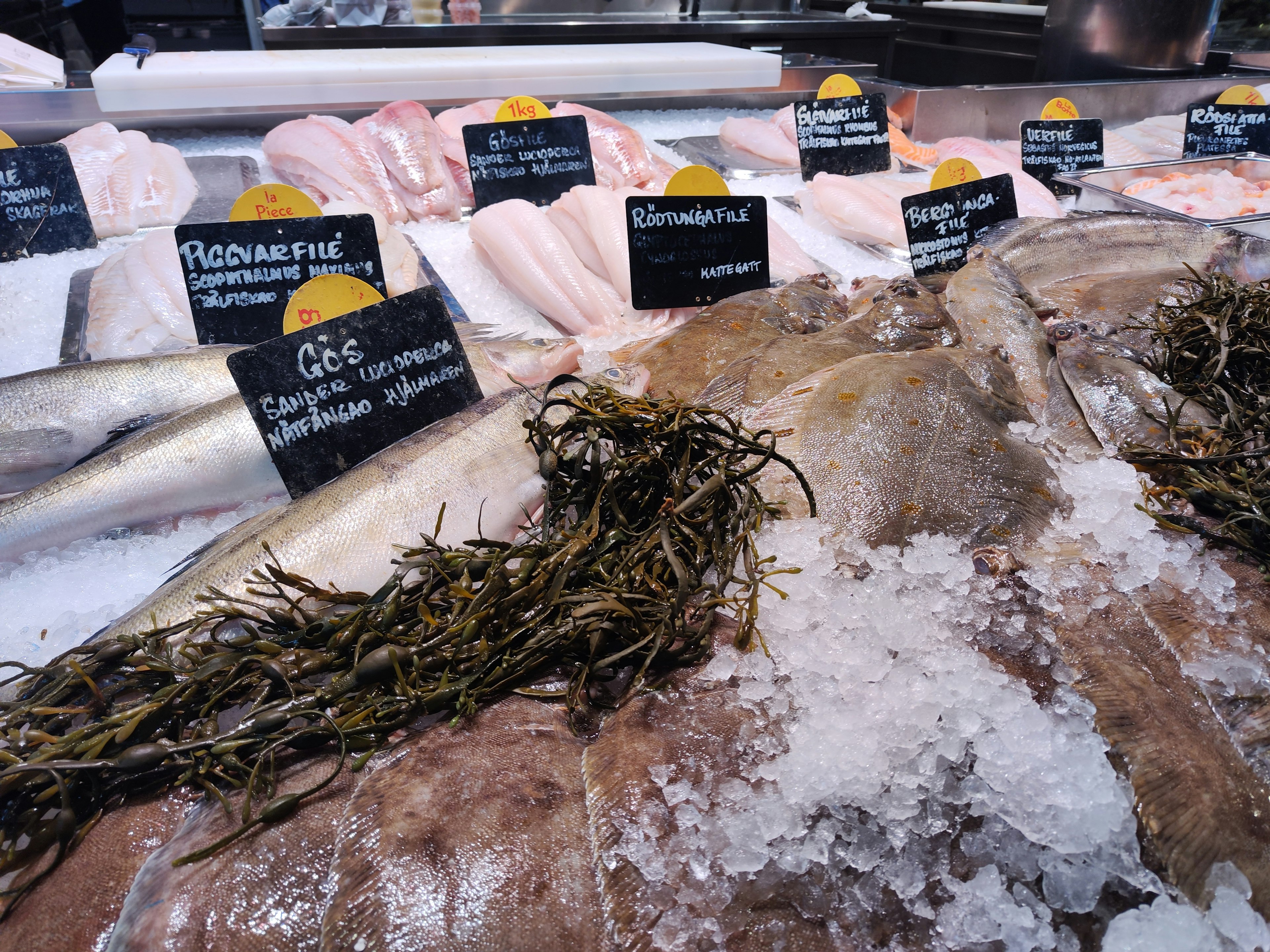 Pescado fresco expuesto sobre hielo en un mercado con etiquetas negras que muestran los nombres