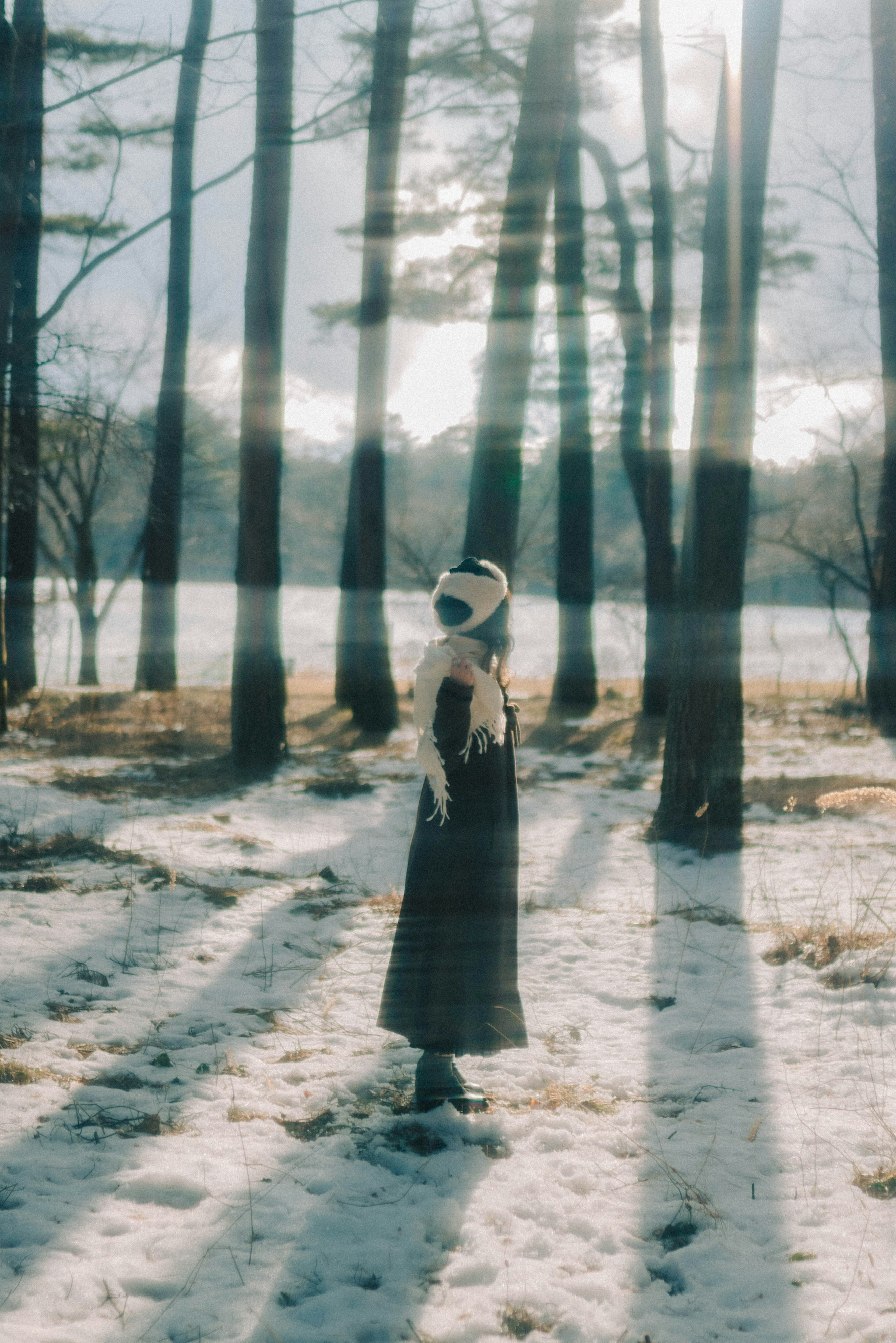 Une femme se tenant sur la neige avec de la lumière filtrant à travers les arbres dans une forêt