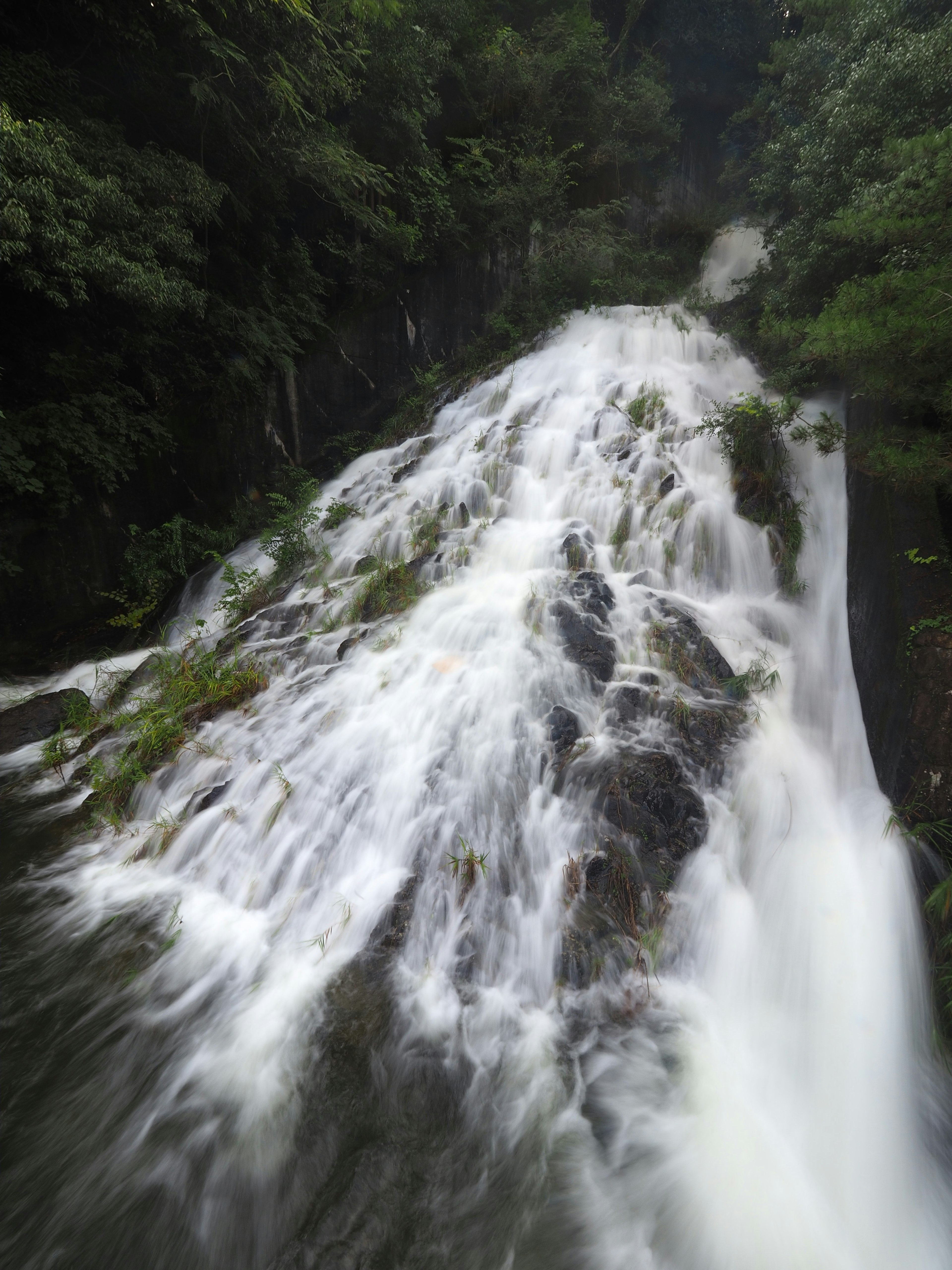 Air terjun yang indah mengalir dikelilingi oleh kehijauan yang subur