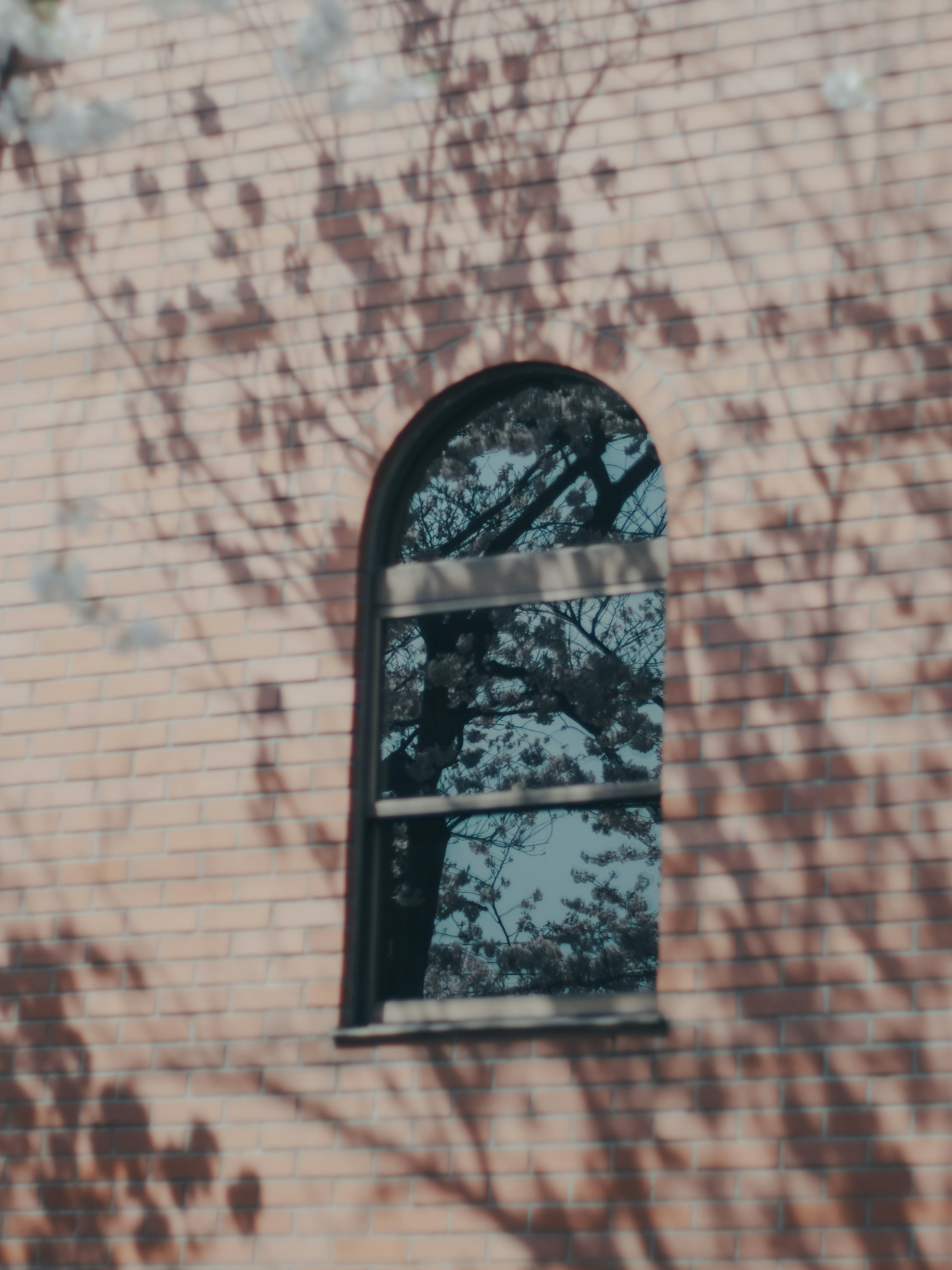 A window reflecting shadows on a brick wall