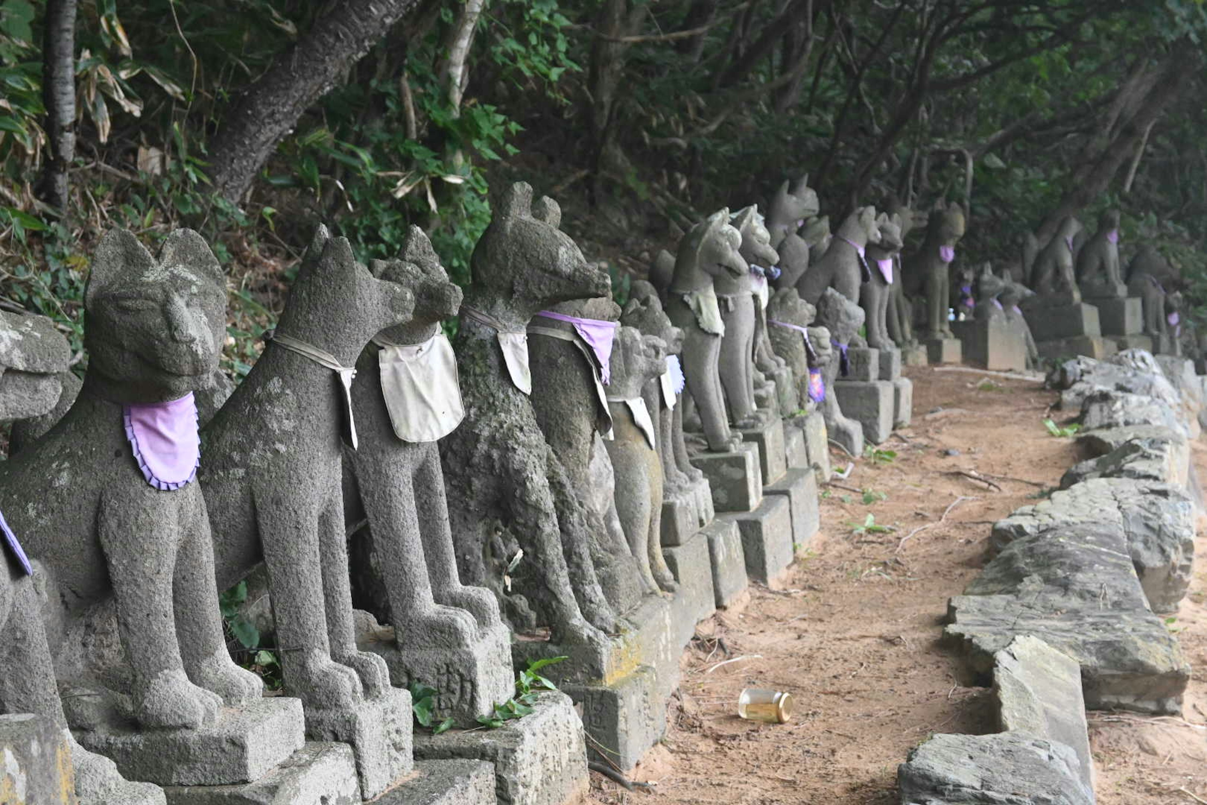 Stone dog sculptures lined along a pathway wearing purple cloth around their necks